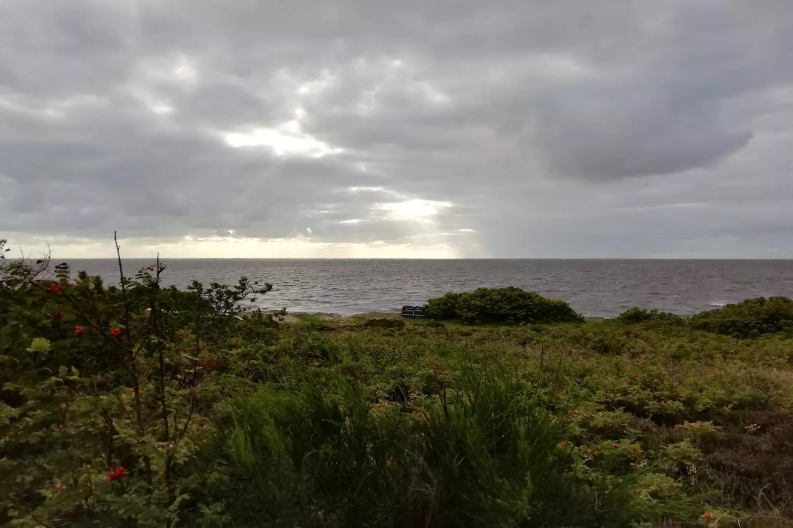 6 person holiday home in Hemmet-Water view
