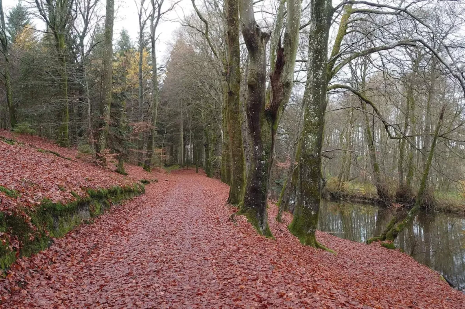 Lakeside Holiday Home with Forest-Untagged