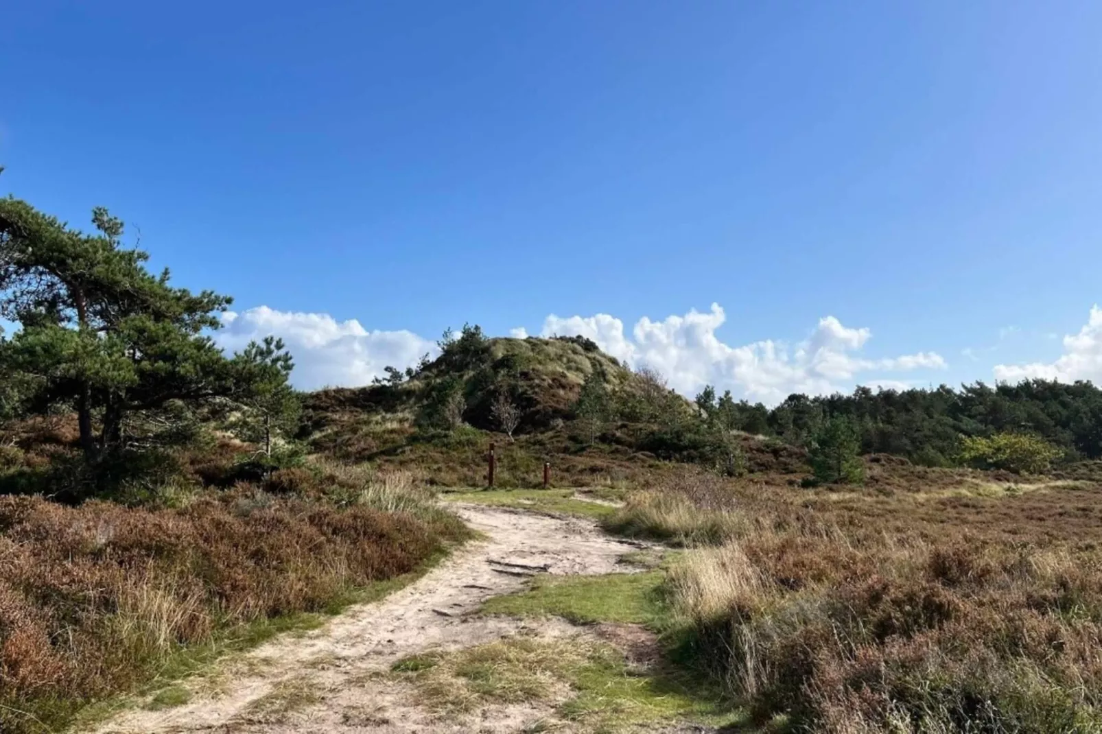 6 person holiday home in Rømø-By Traum-Untagged