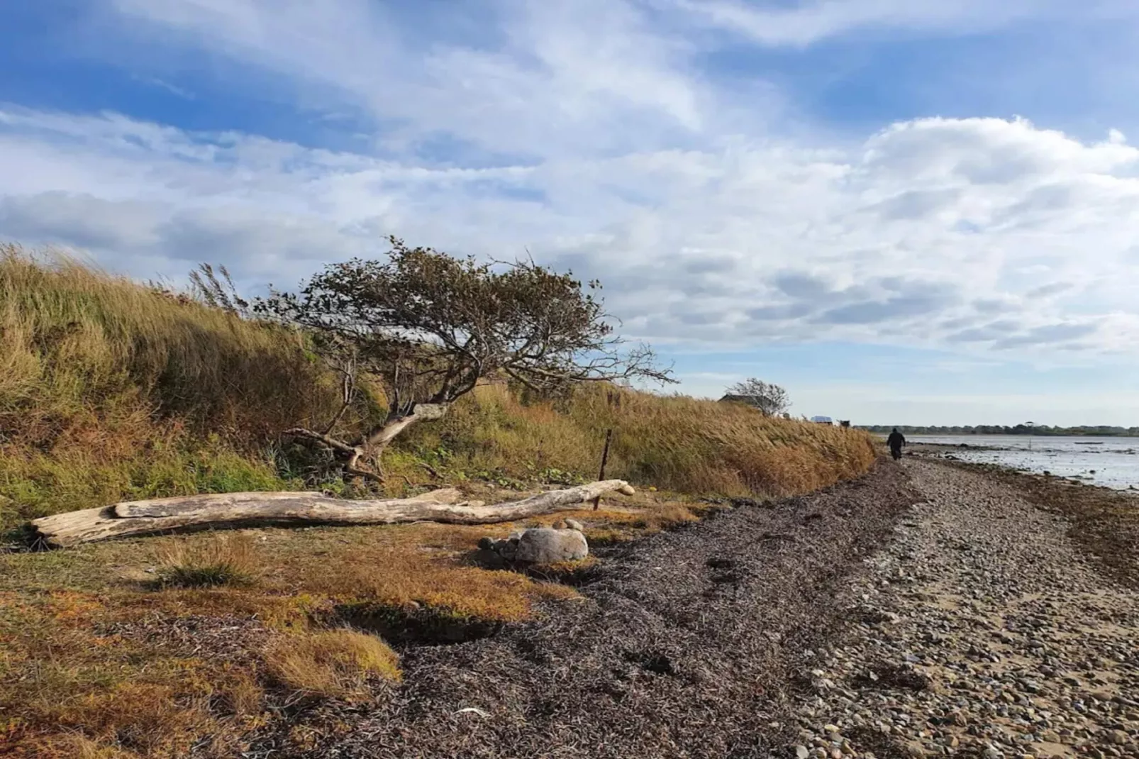 Maison de vacances pour 4 a Bogense-By Traum-Vue sur l'eau