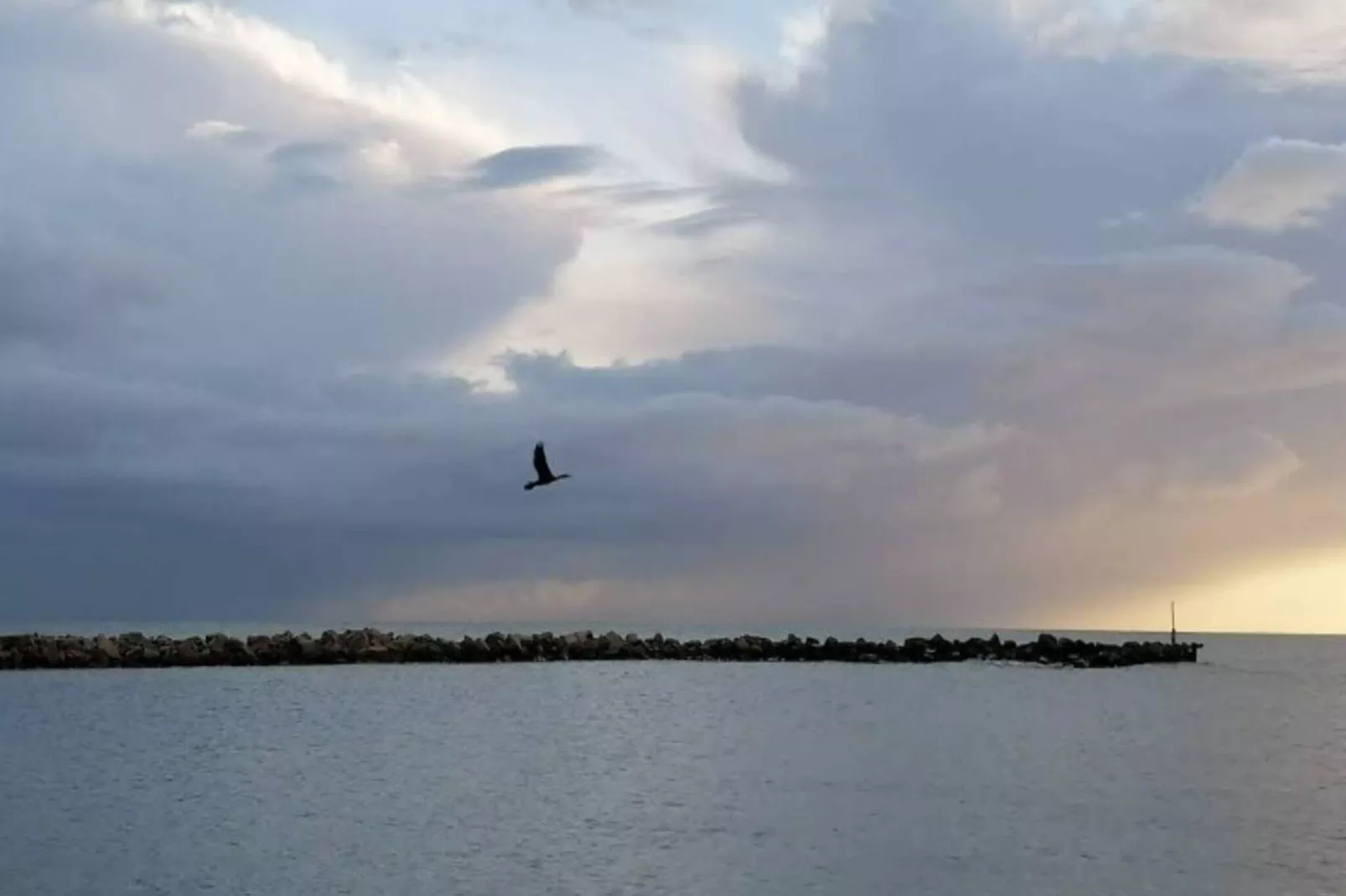 6 person holiday home in Hals-By Traum-Outdoor