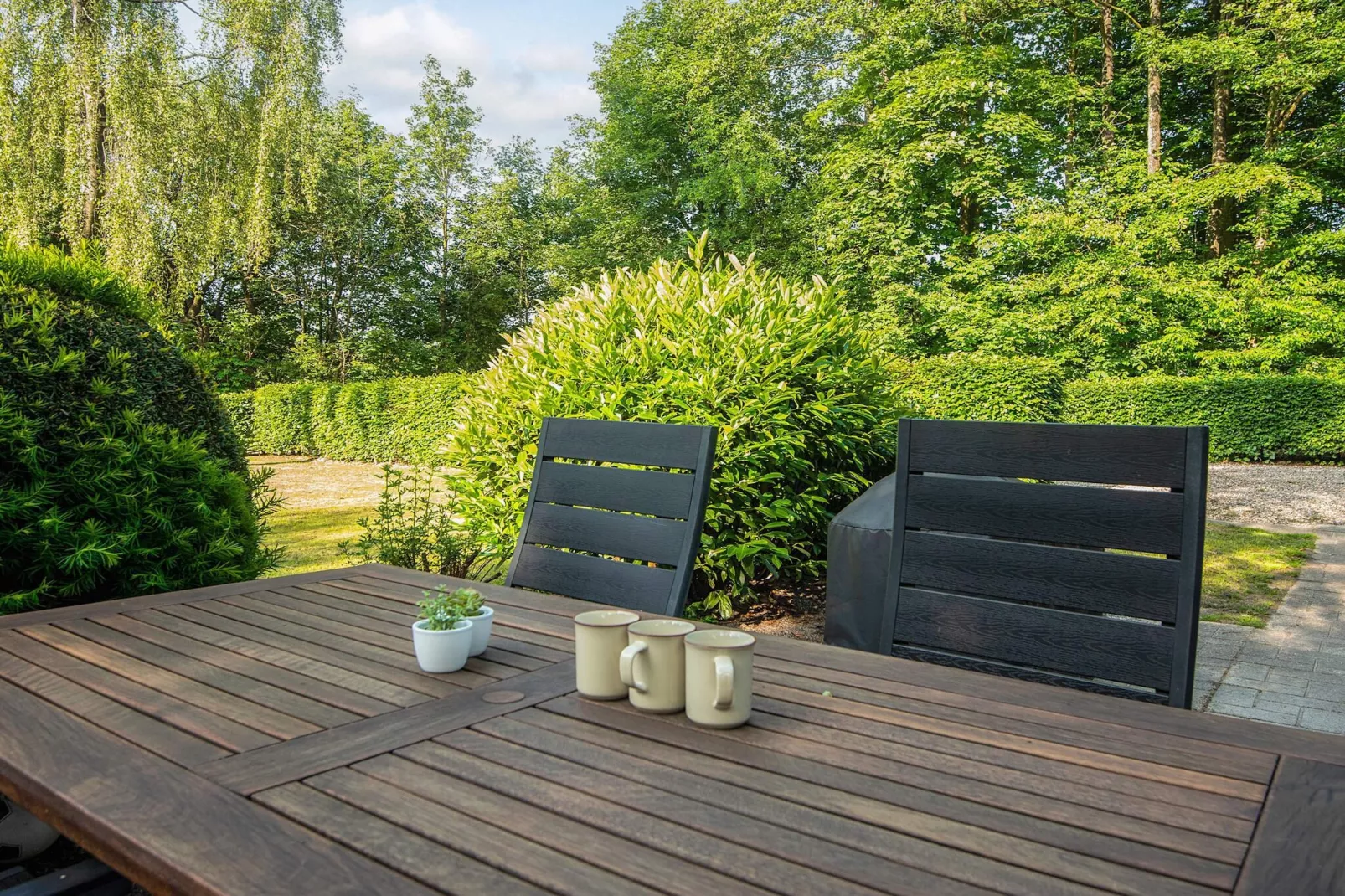 Gîte familial avec terrasse et pelouse