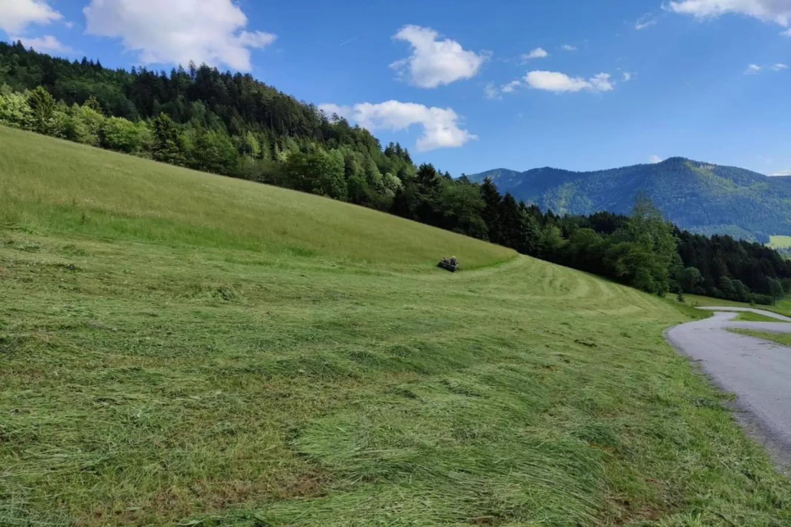Ferienhaus Rieger-Gebiete Sommer 20 km