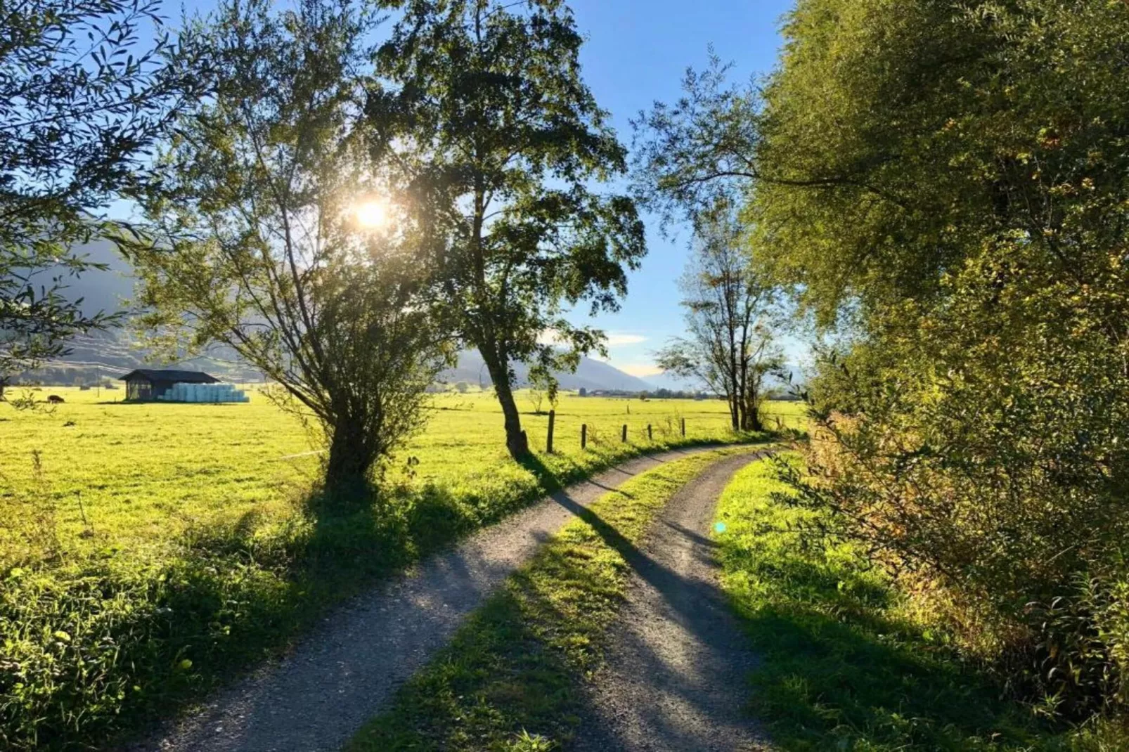Appartment Roswitha-Areas within 20km in summer