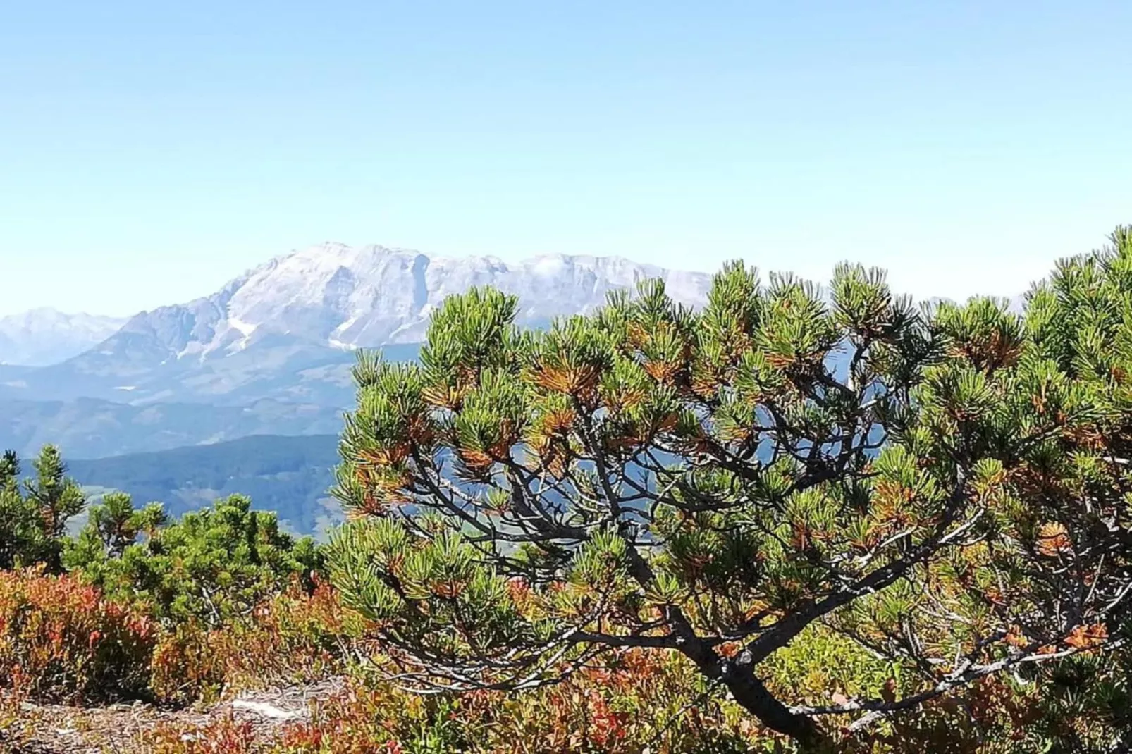 Oberkranzhof-Zones été à 20 km