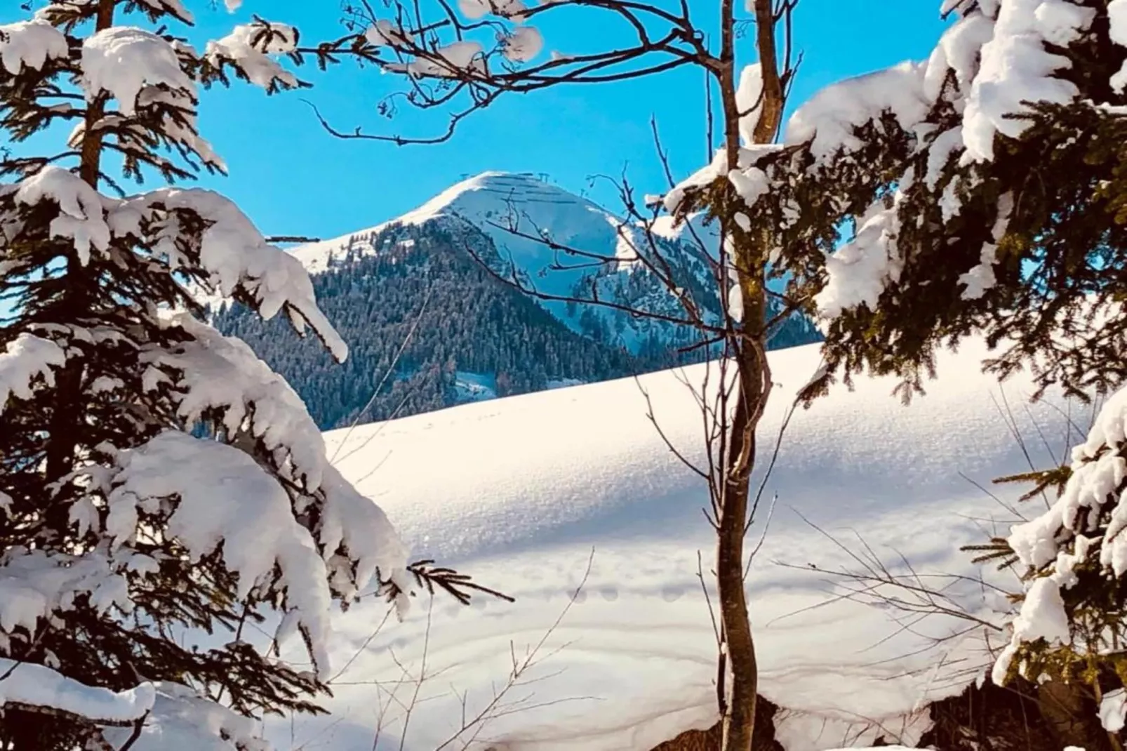 Chalet Apartment Mittenwald XL-Area within 20km in winter