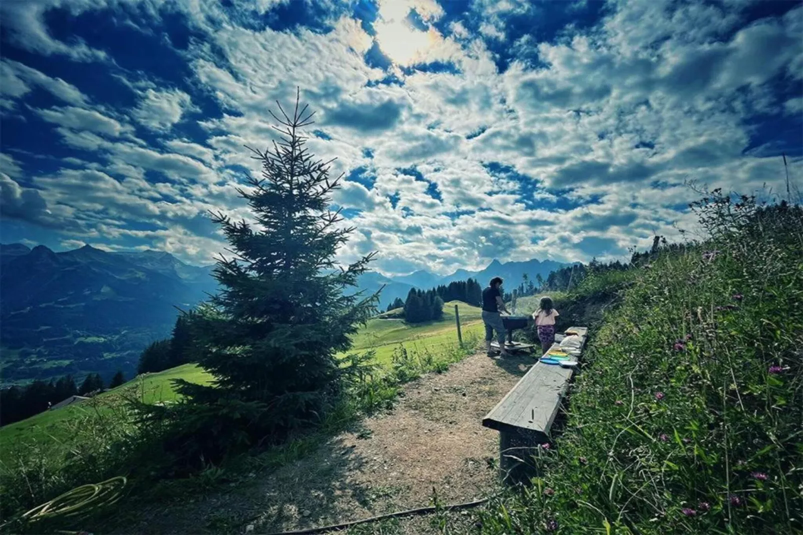 Bials-Areas within 20km in summer