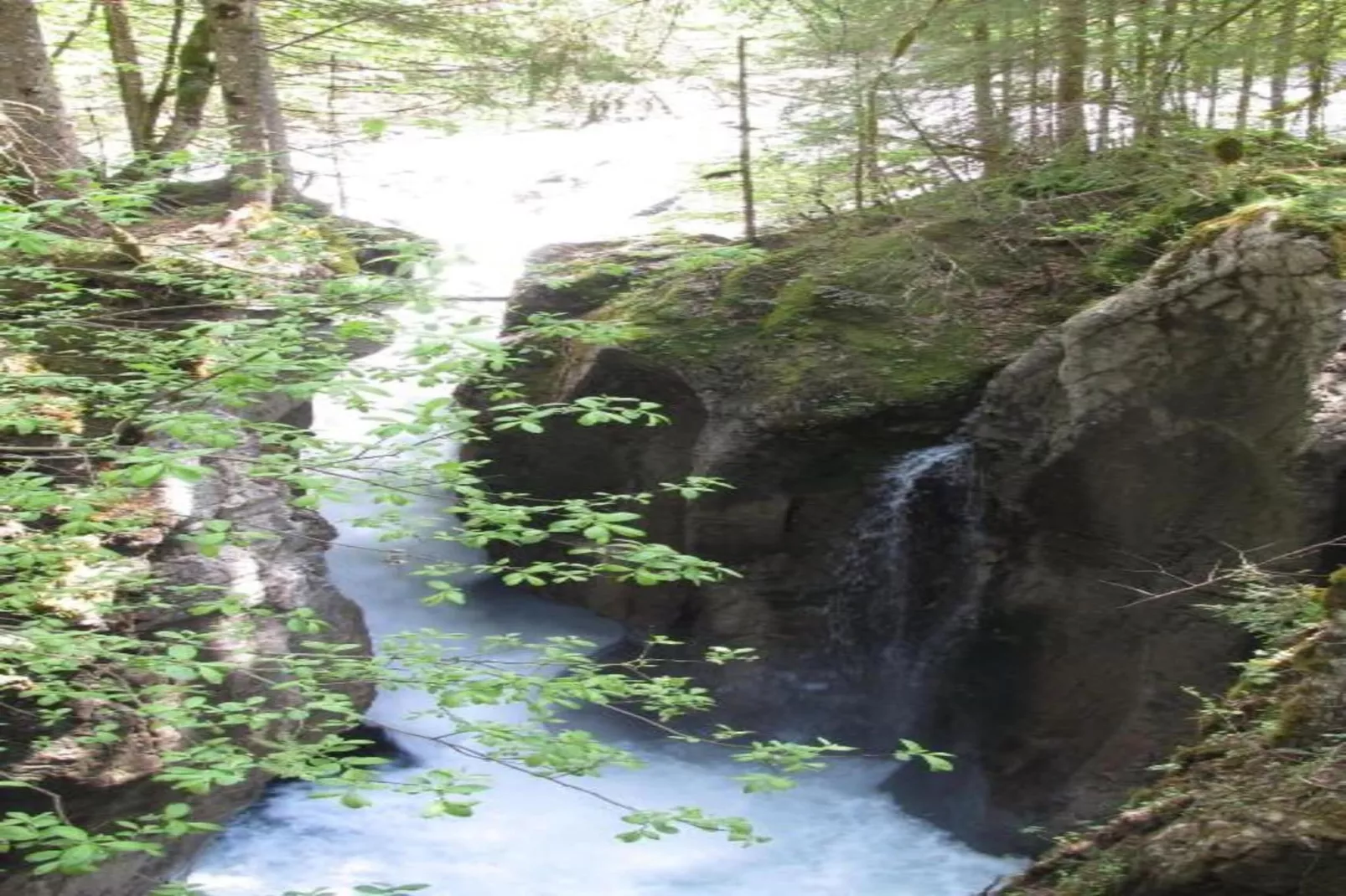 Chalet Steffko-Areas within 20km in summer