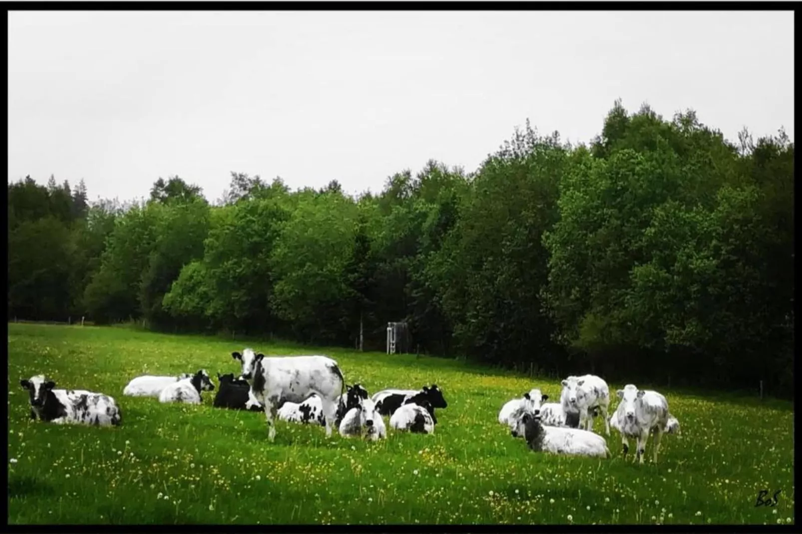 Landgoed Hoge Venen 30-pers-Zones été à 20 km