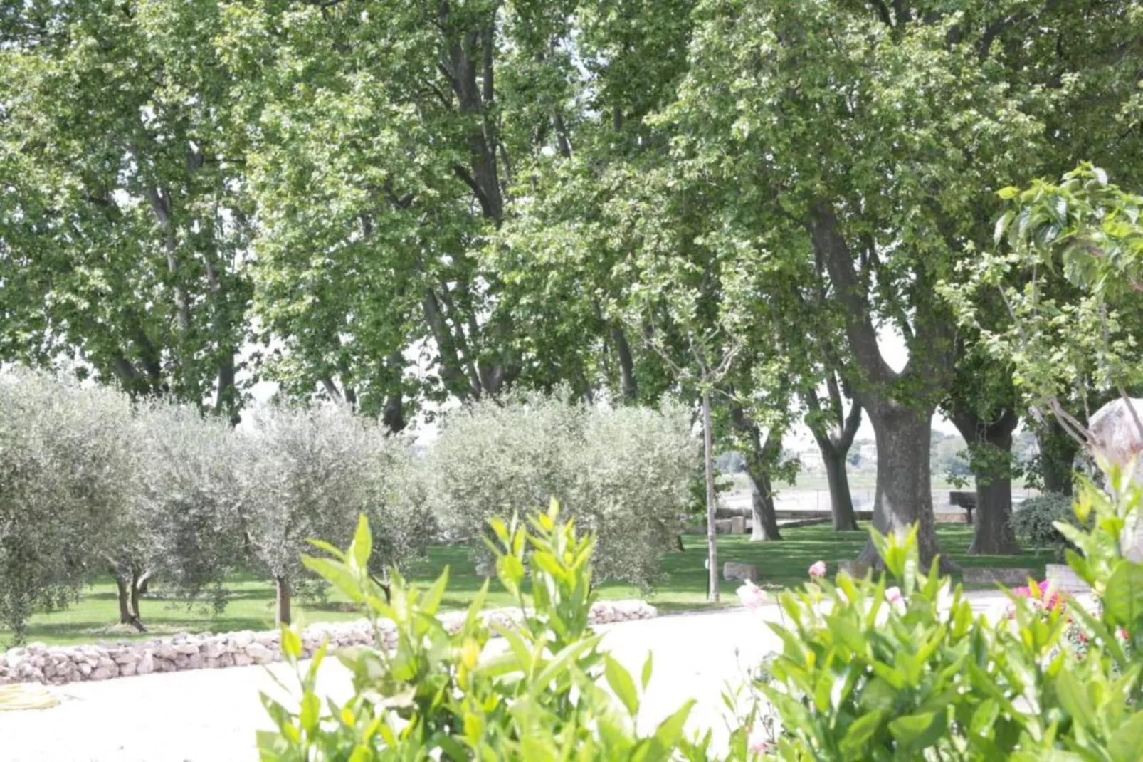 Le Ry de Chavan-Areas within 20km in summer