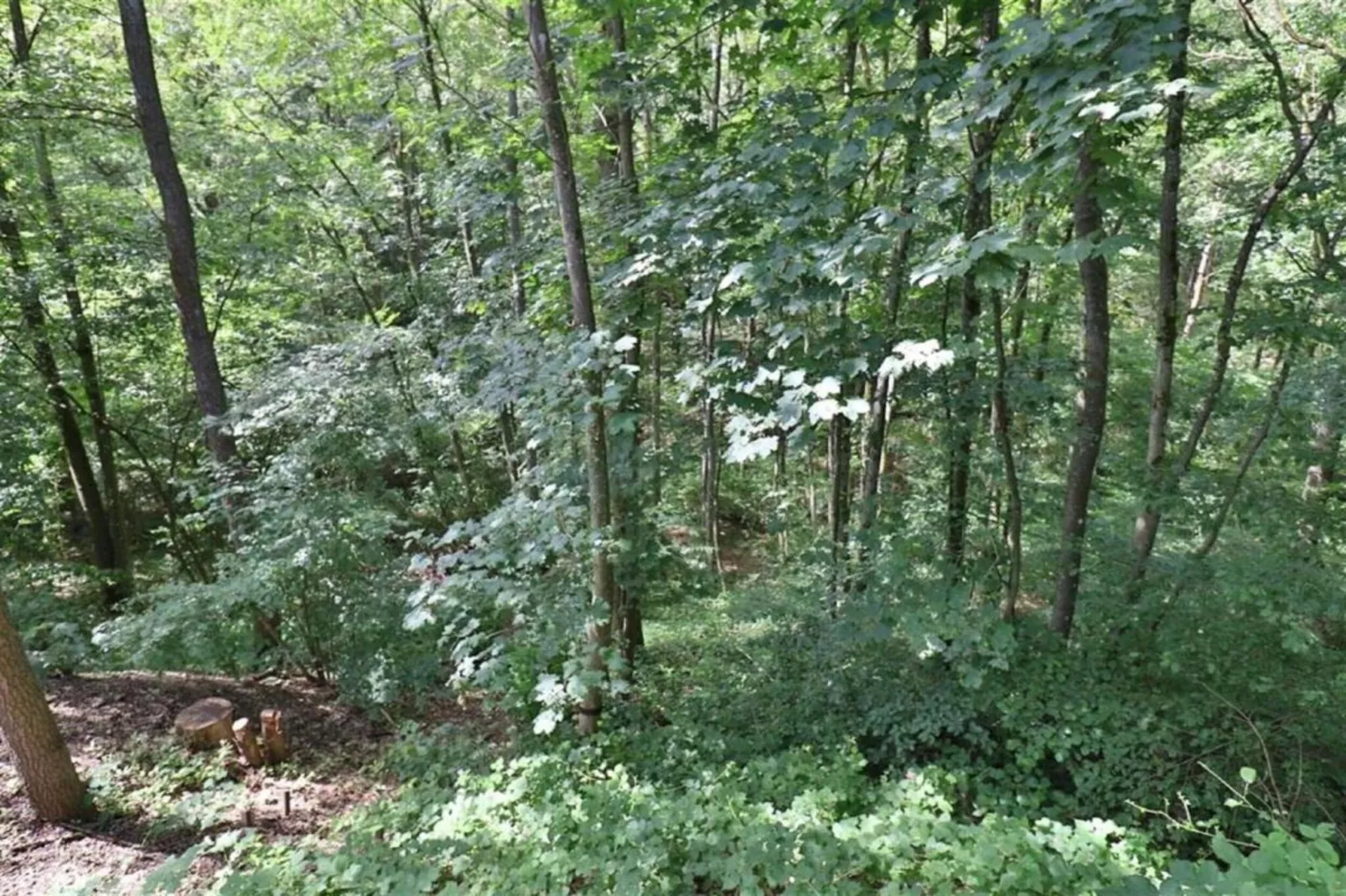 La Dolina-Zones été à 20 km