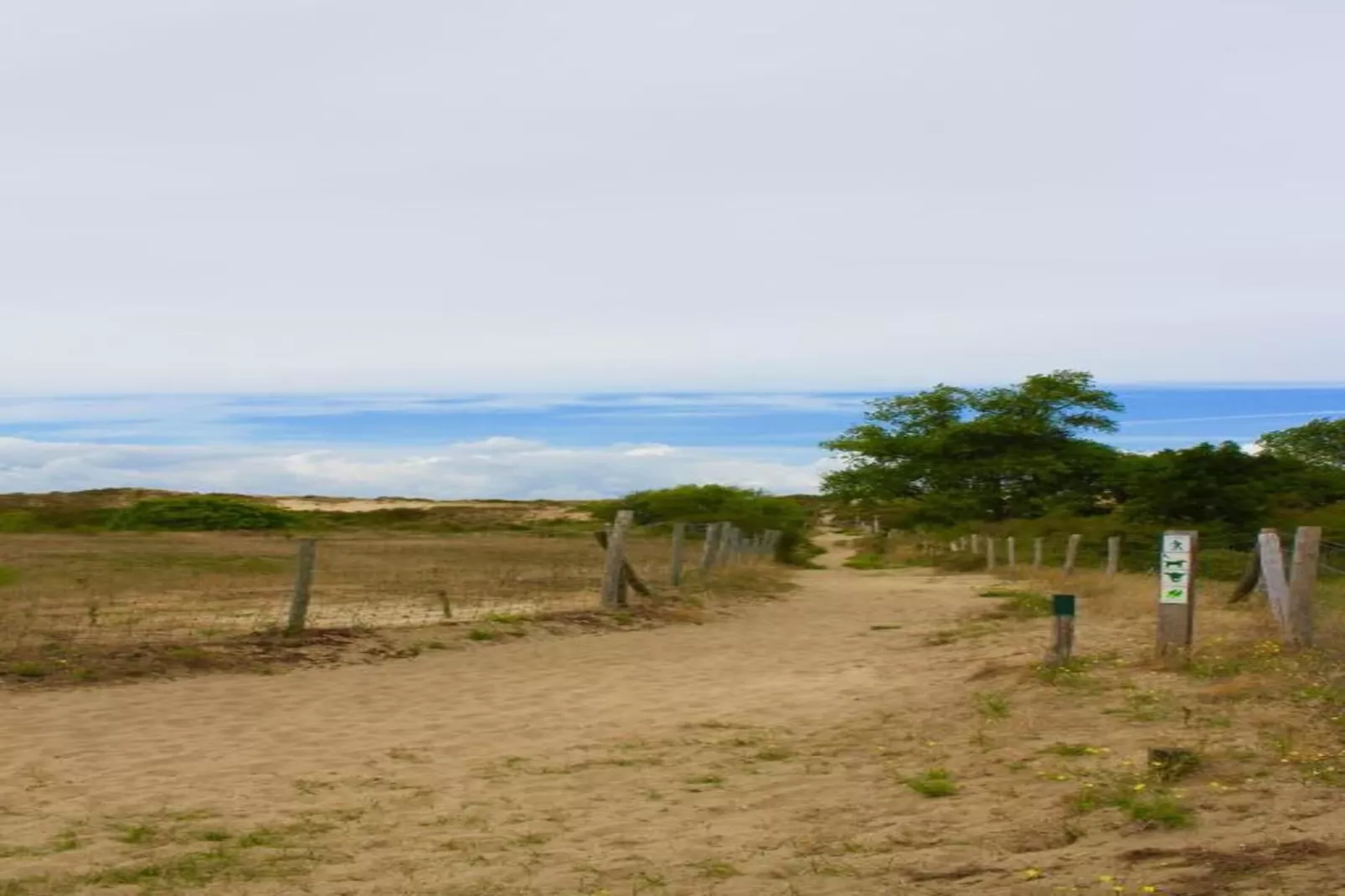 Villa Bos en Zee-Areas within 20km in summer