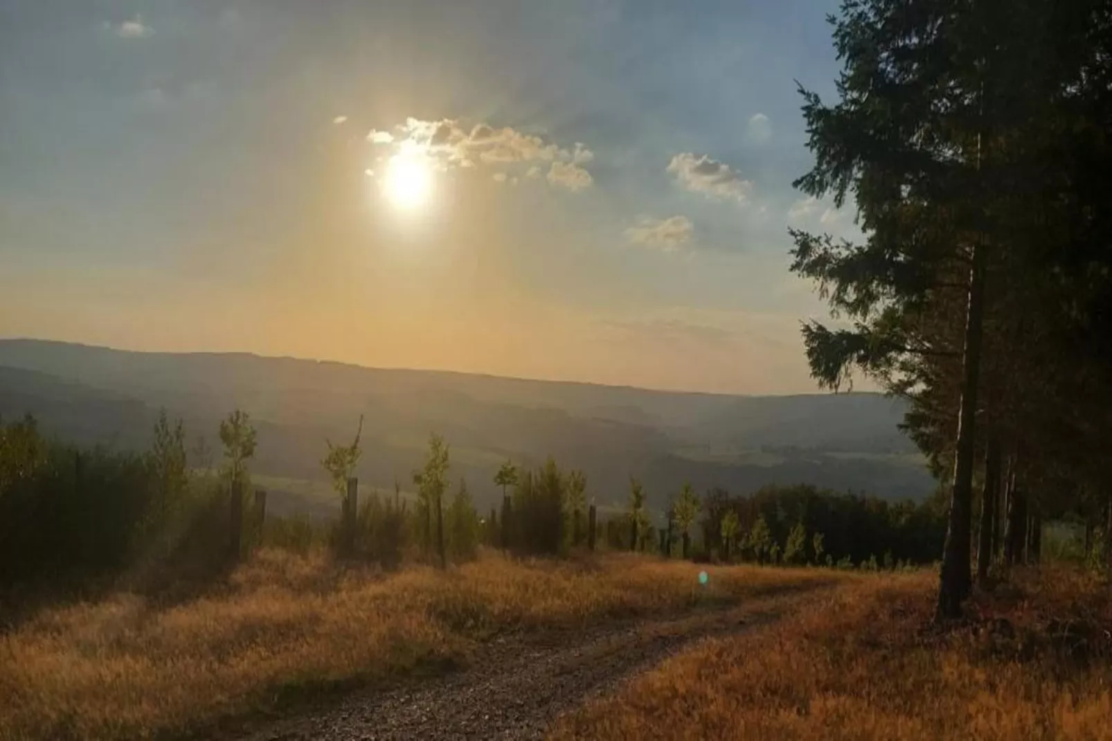 Orchidee-Areas within 20km in summer