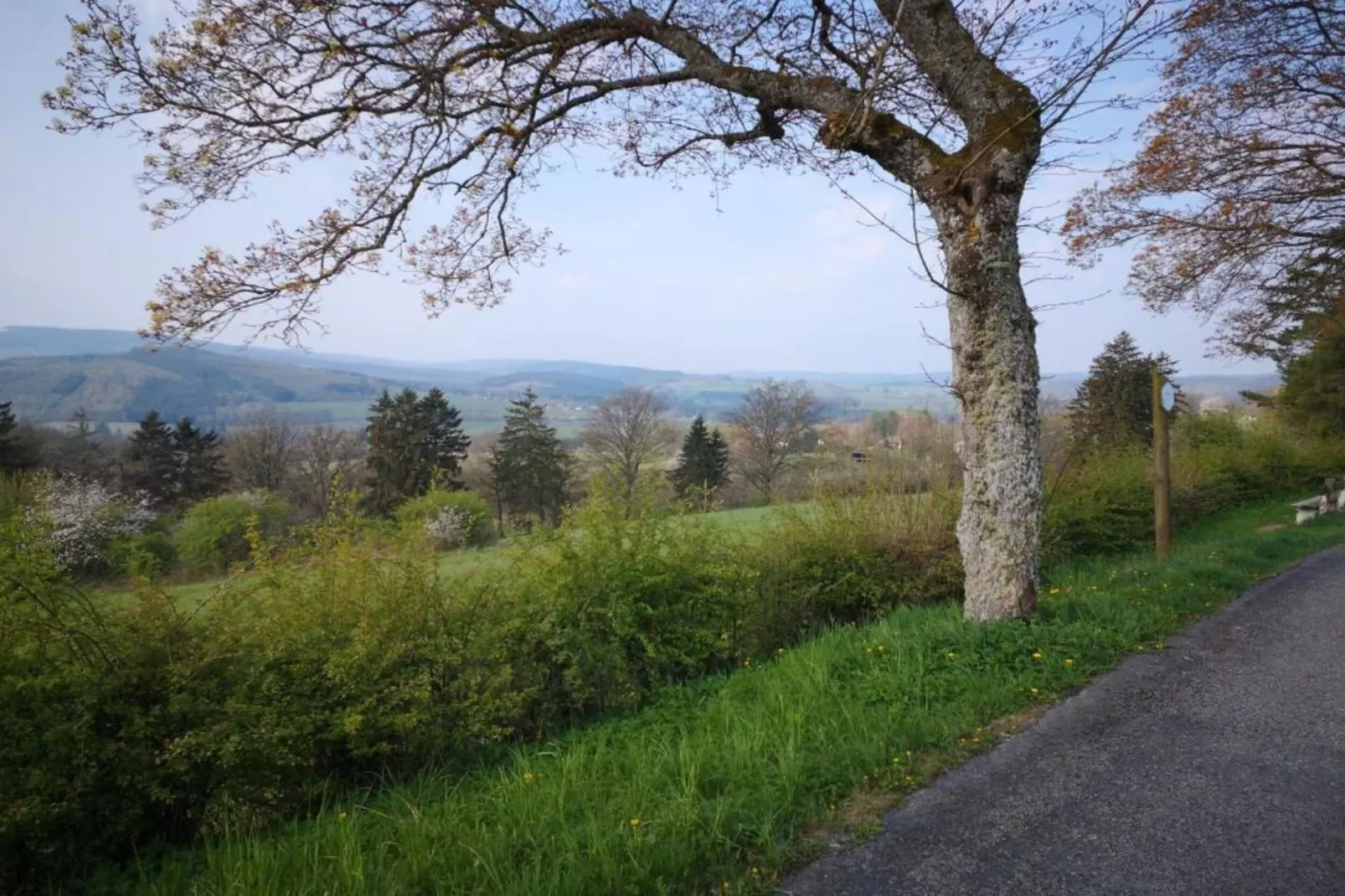 Le Noyer-Areas within 20km in summer