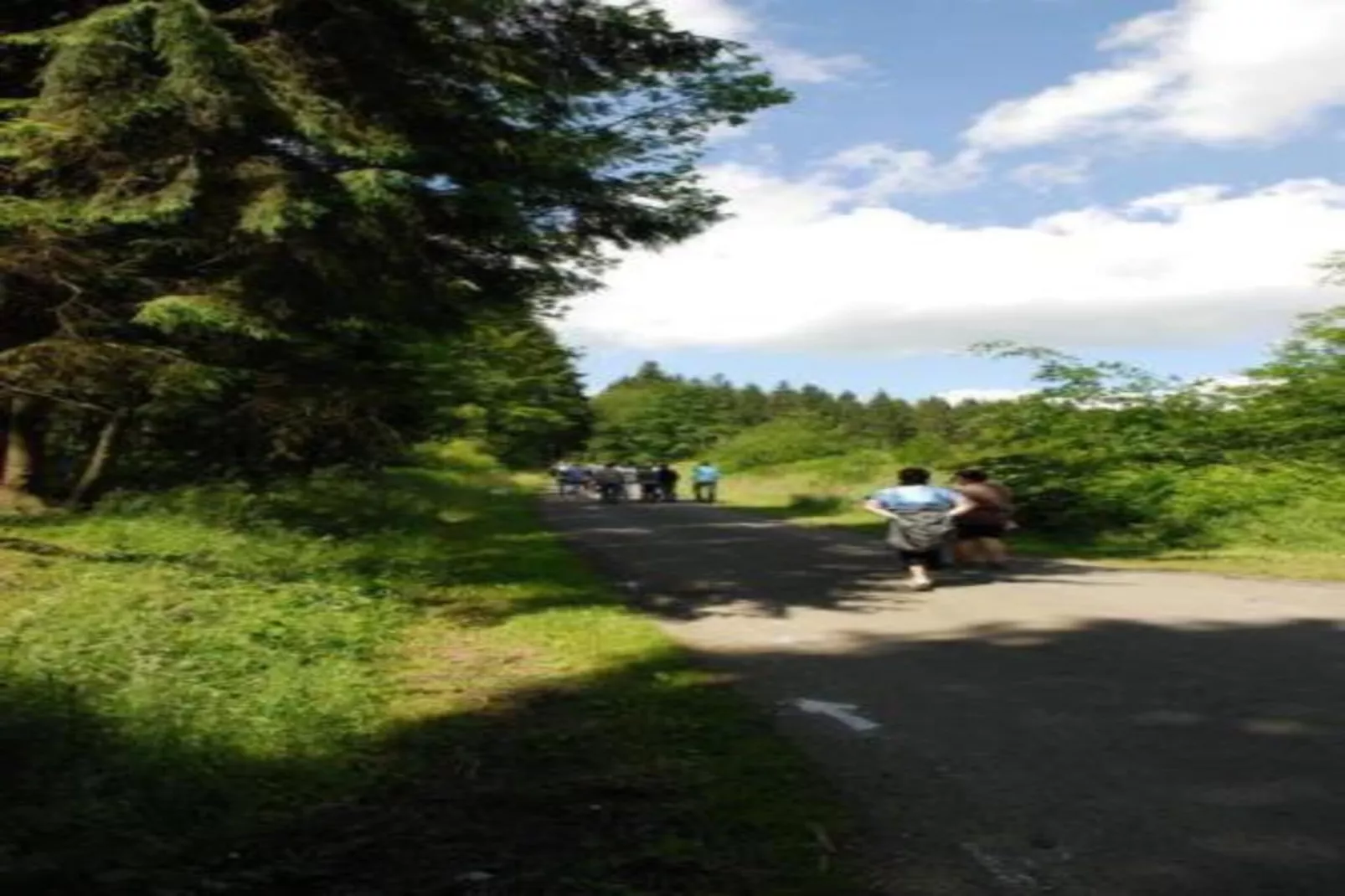 Rogery 64-Areas within 20km in summer