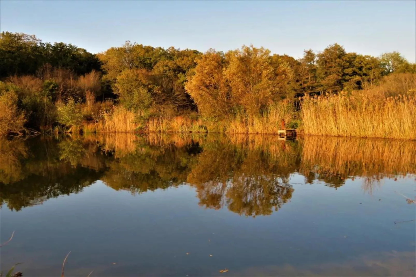 Li Vêrt Veschau-Areas within 20km in summer