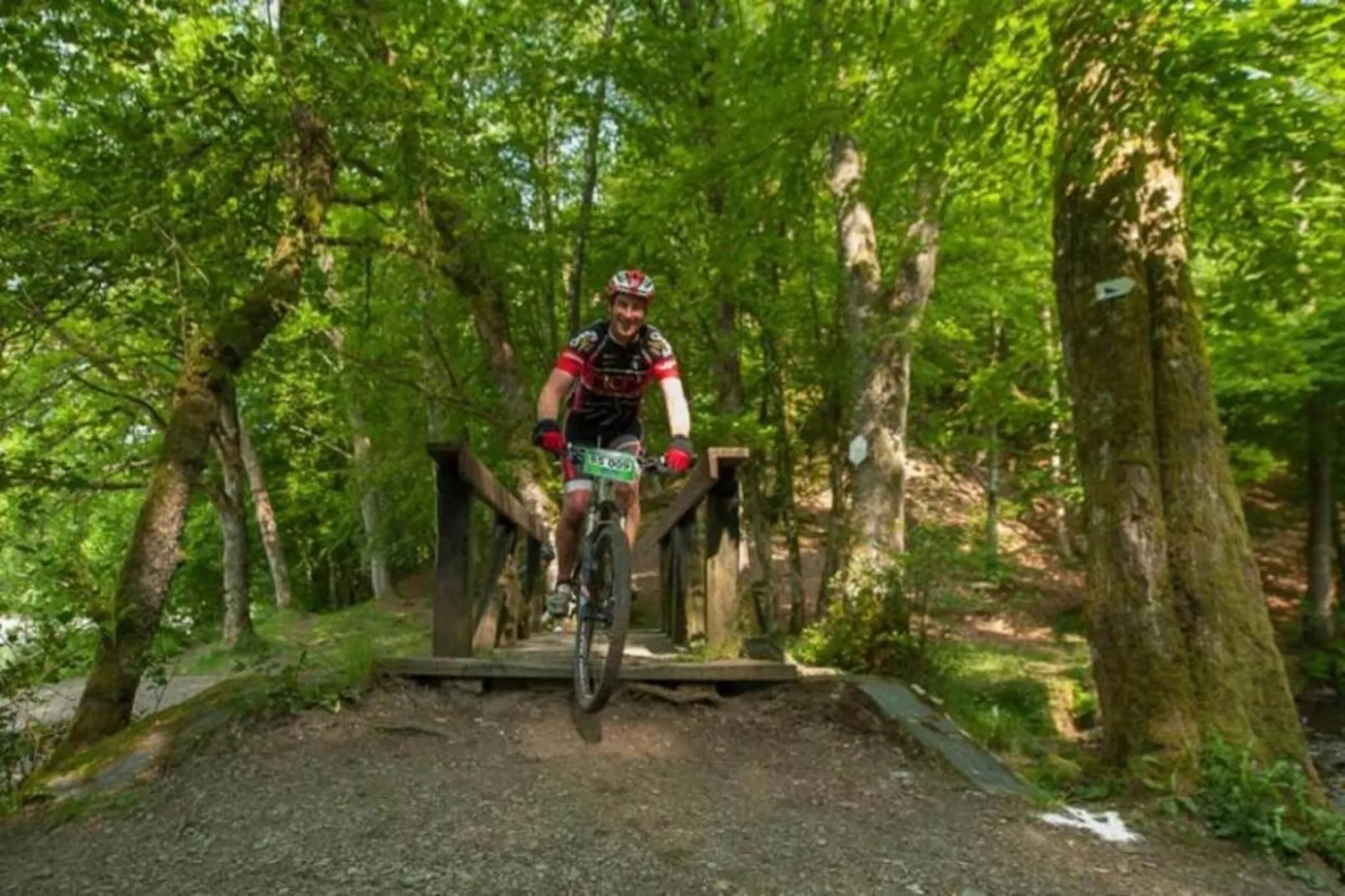 Alouette-Areas within 20km in summer