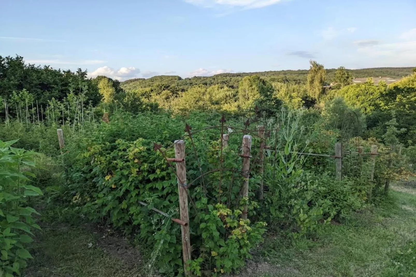 Le Chession-Areas within 20km in summer