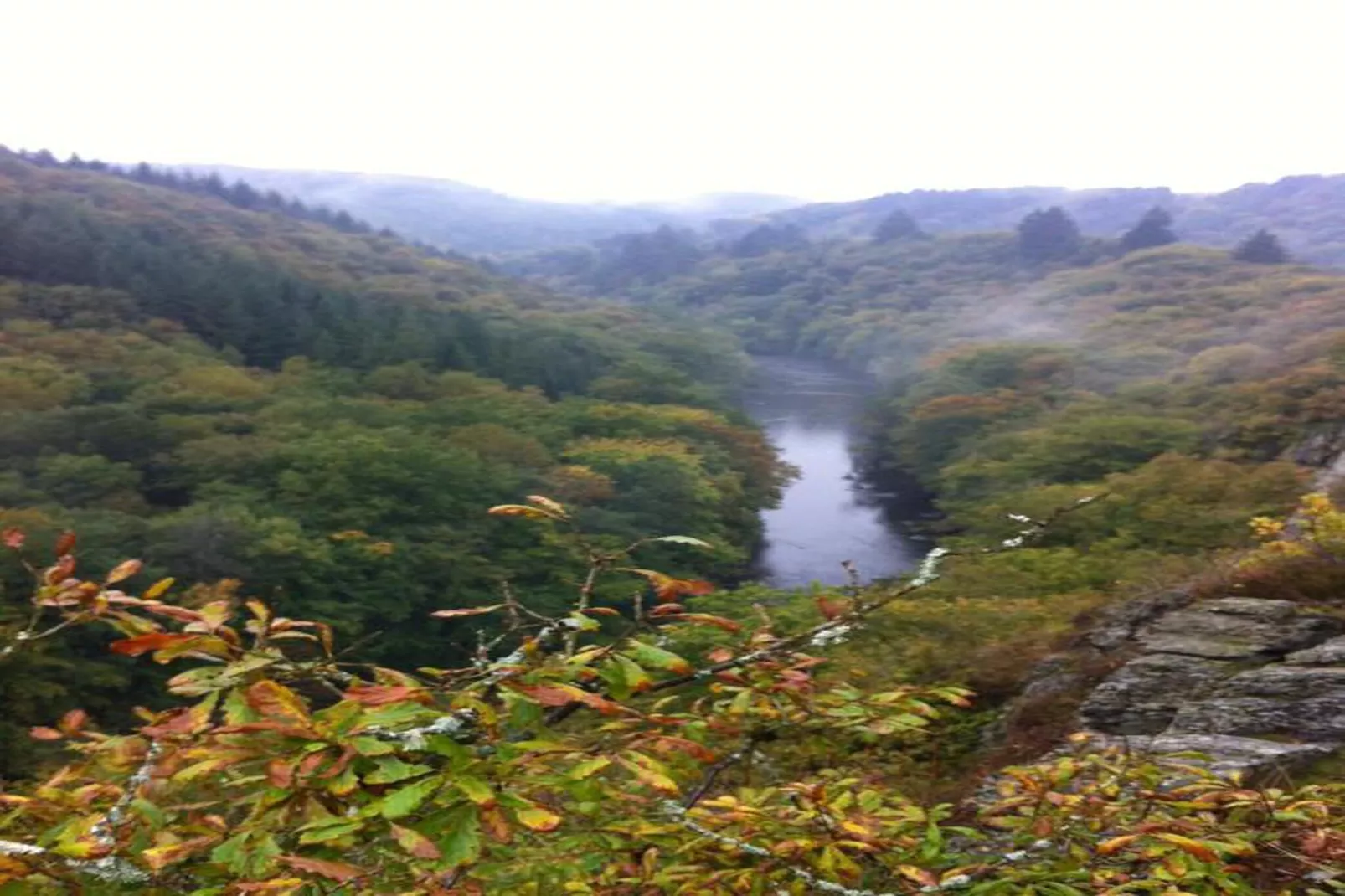 Symon Lodge-Areas within 20km in summer