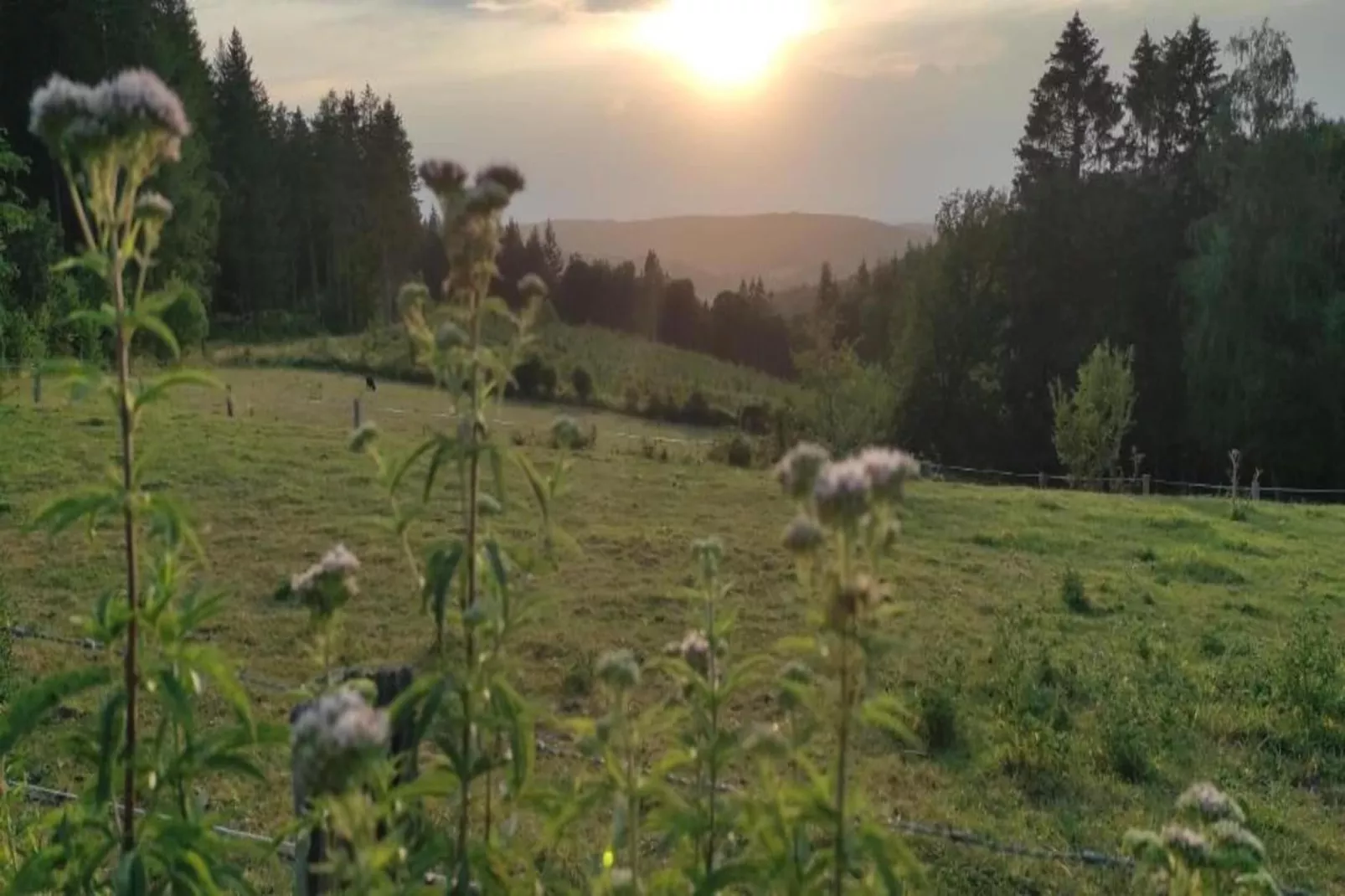 VillaRoche Le Gîte-Areas within 20km in summer