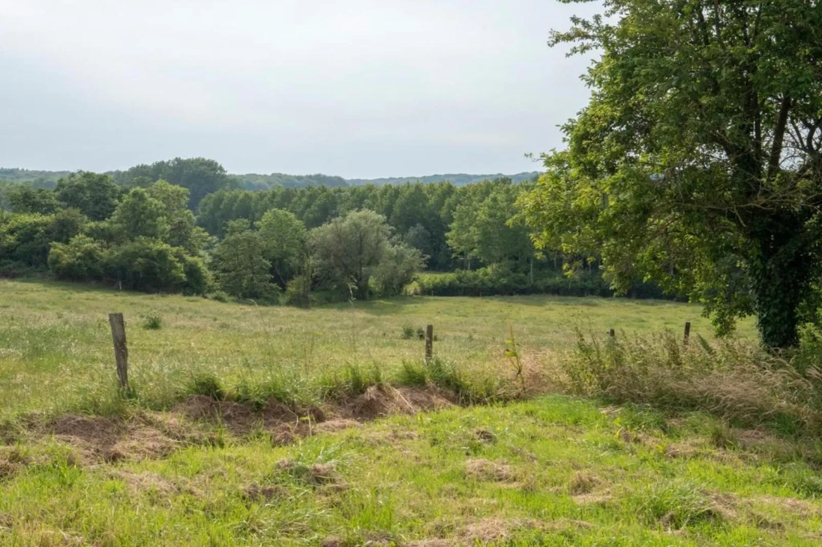 Les Tropiques-Zones été à 20 km