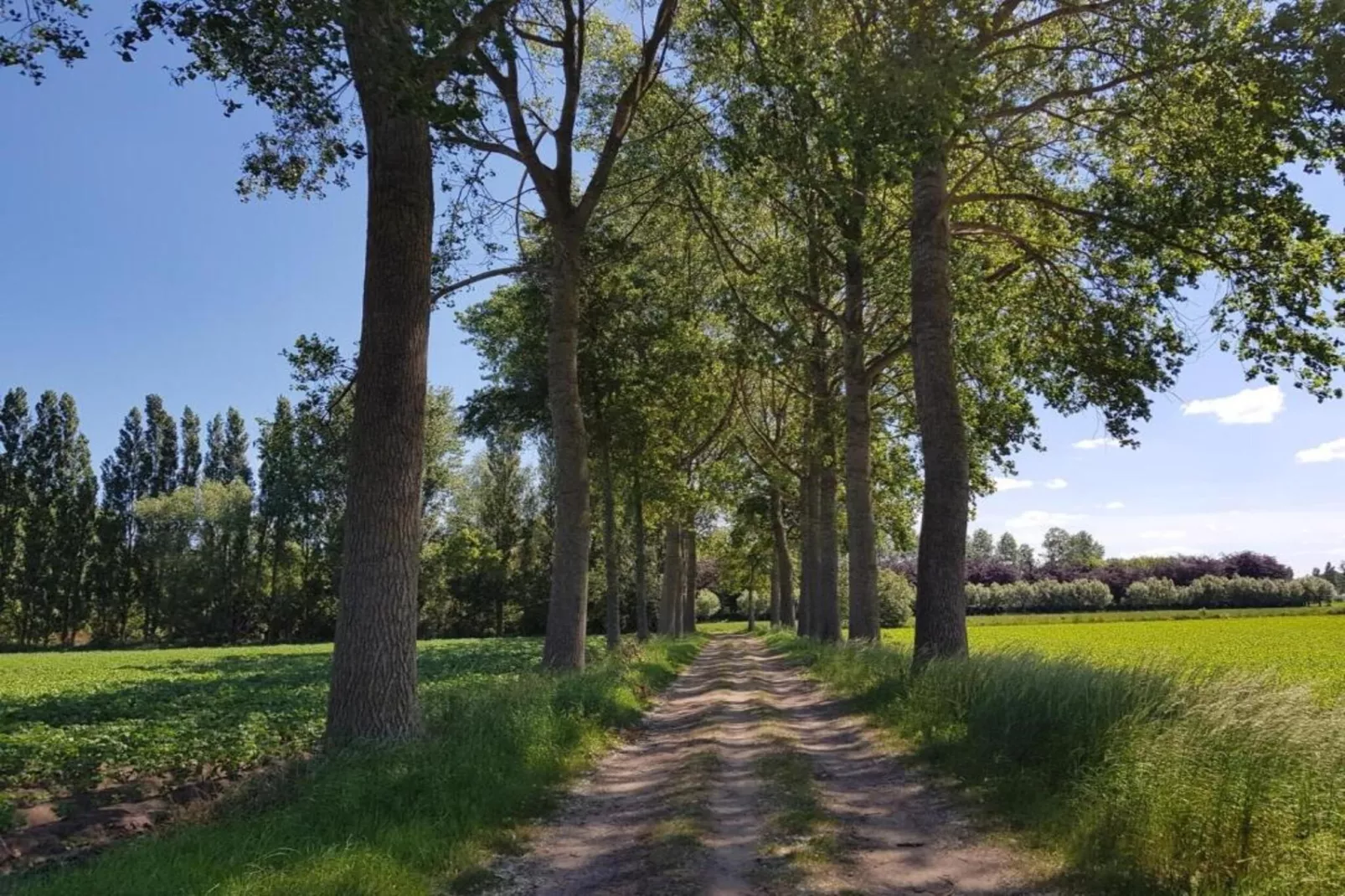 Casteeldoorn-Areas within 20km in summer