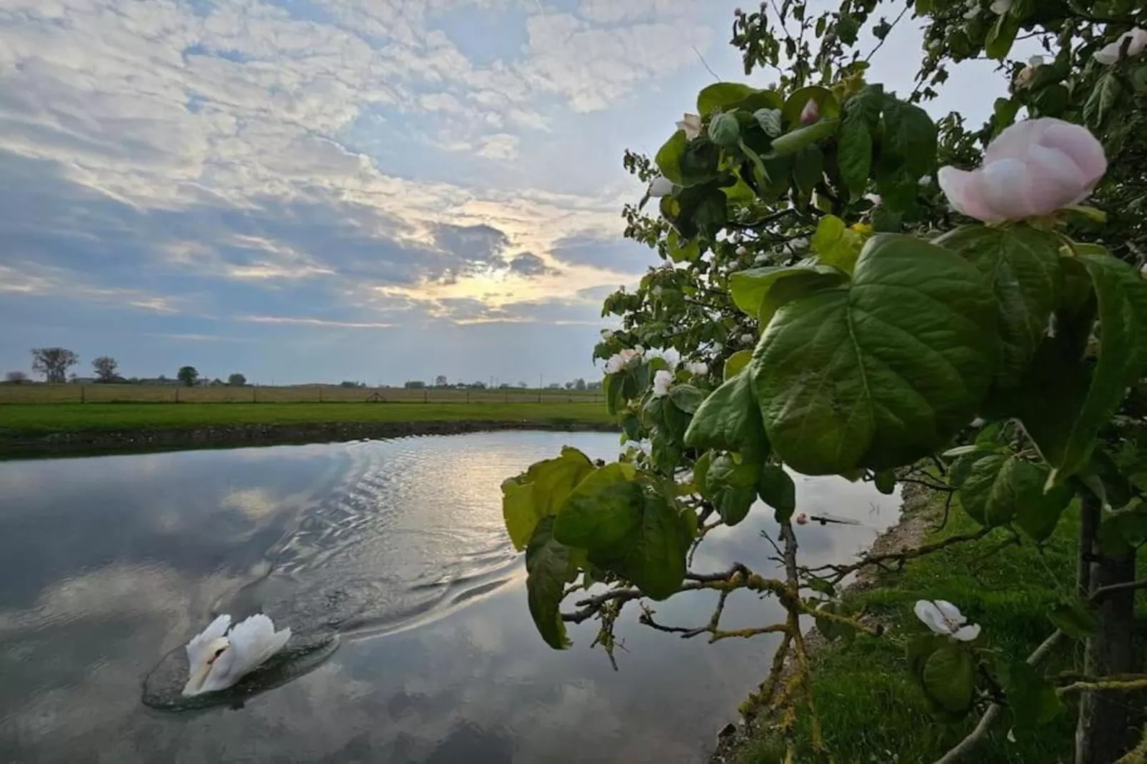 De Zoete inval-Areas within 5km in summer