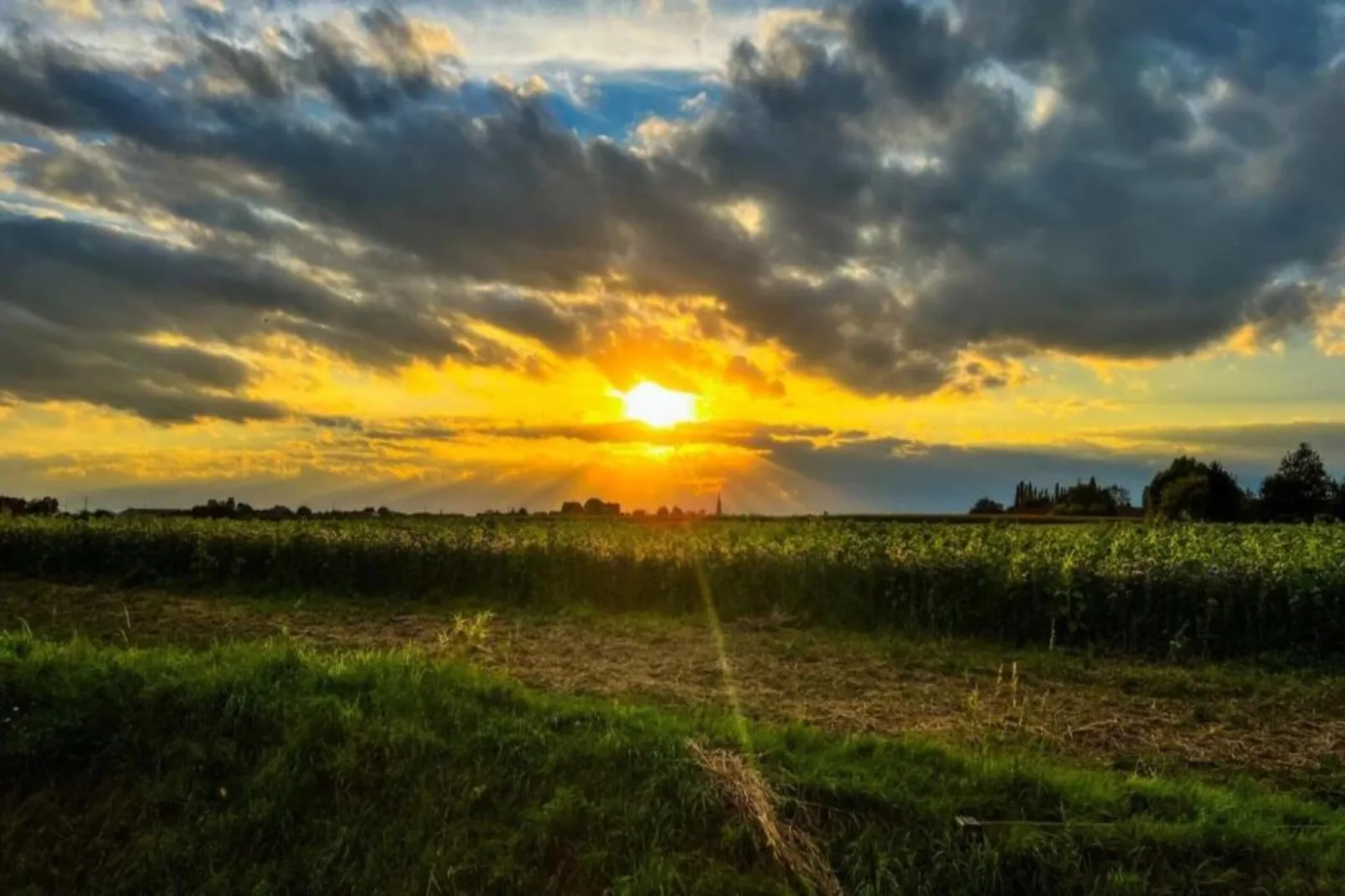 De Bietenmolen-Gebiete Sommer 5 km