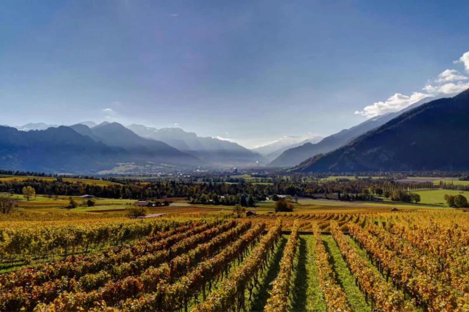 Haus Lerch-Areas within 5km in summer