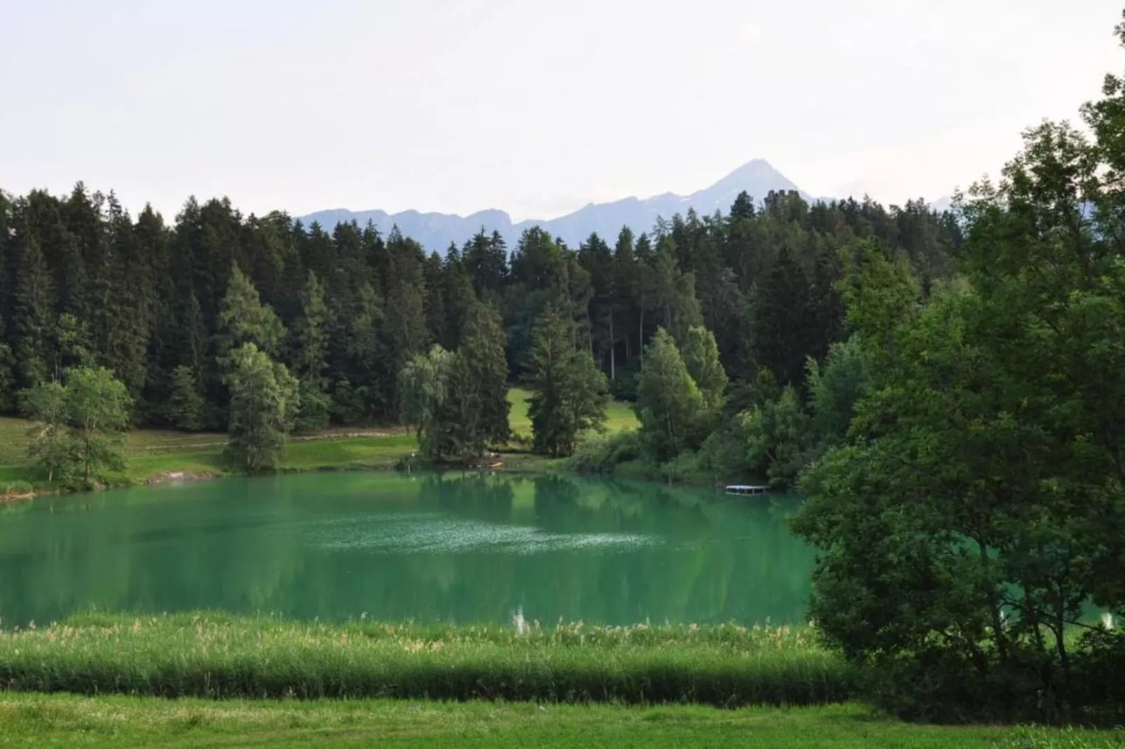Sonnegg-Areas within 5km in summer