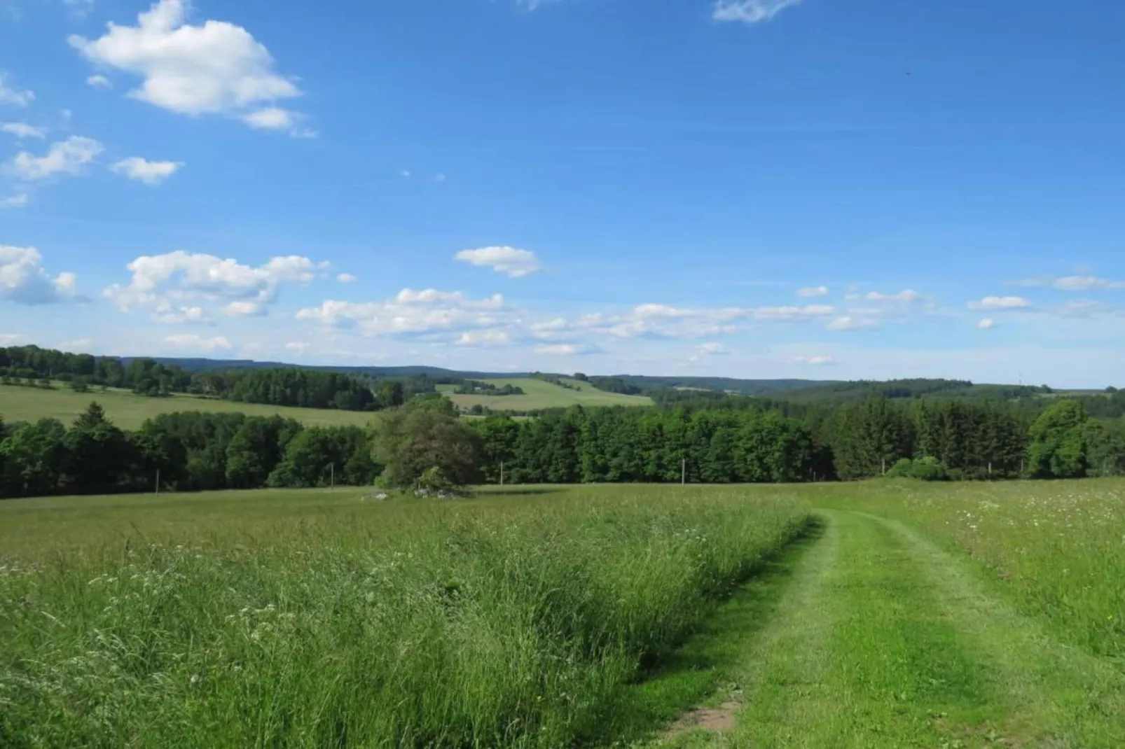 Pereboom-Areas within 5km in summer