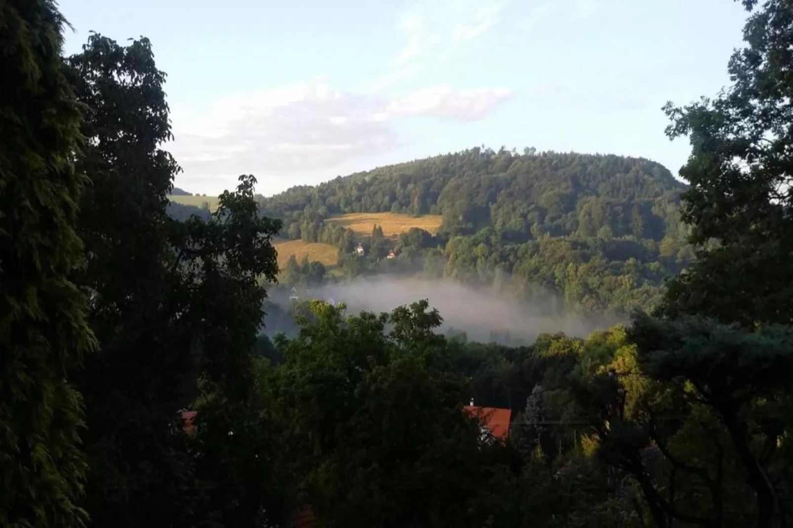 Rita-Areas within 5km in summer