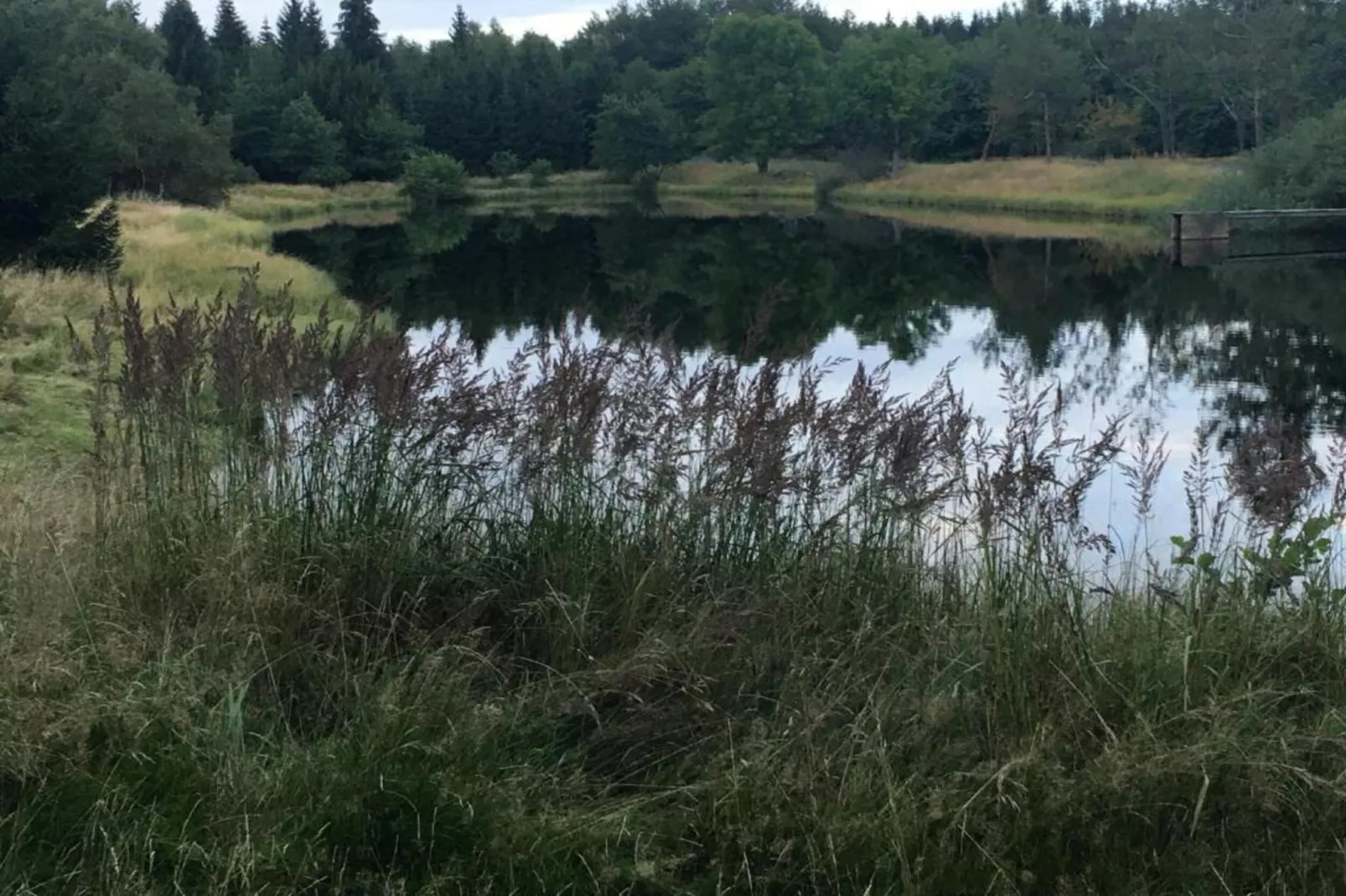 Stela-Areas within 5km in summer