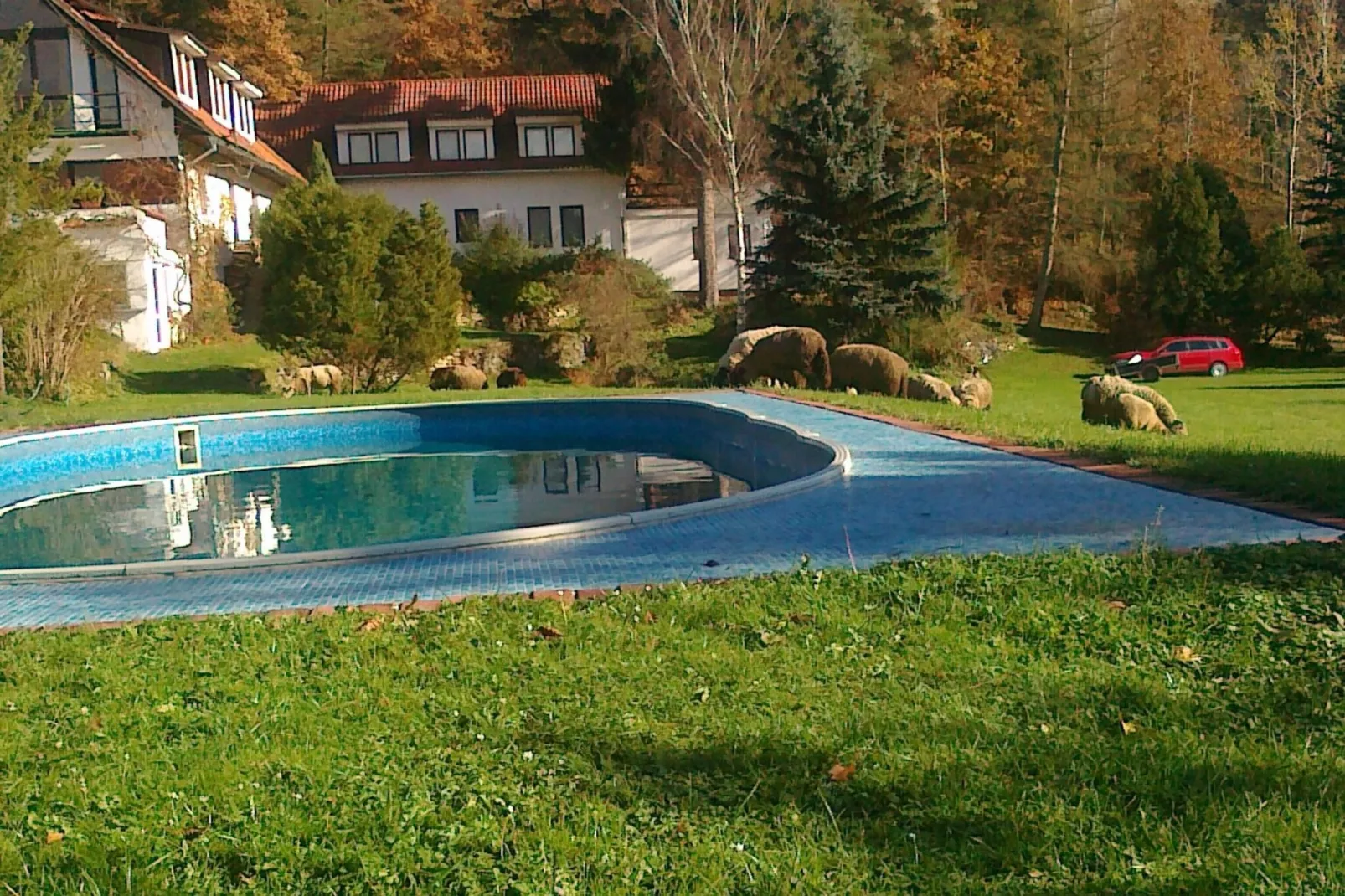 Villa Stastny-Swimming pool