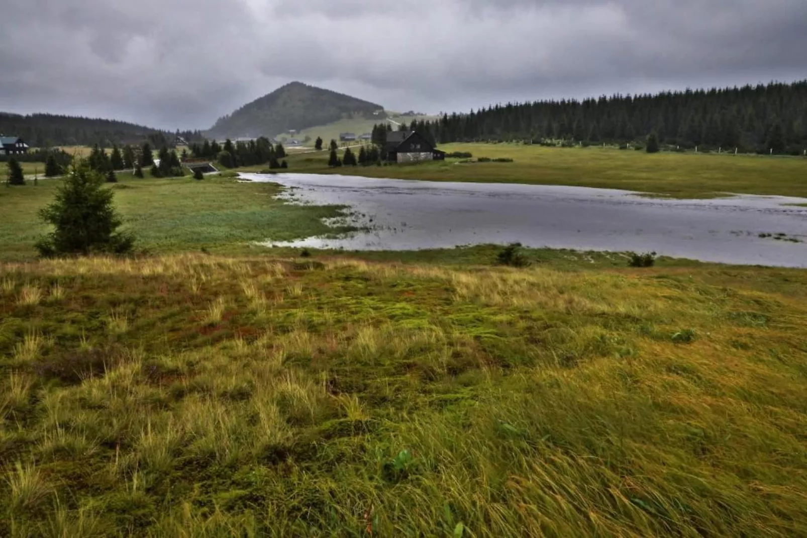 Monika-Areas within 5km in summer