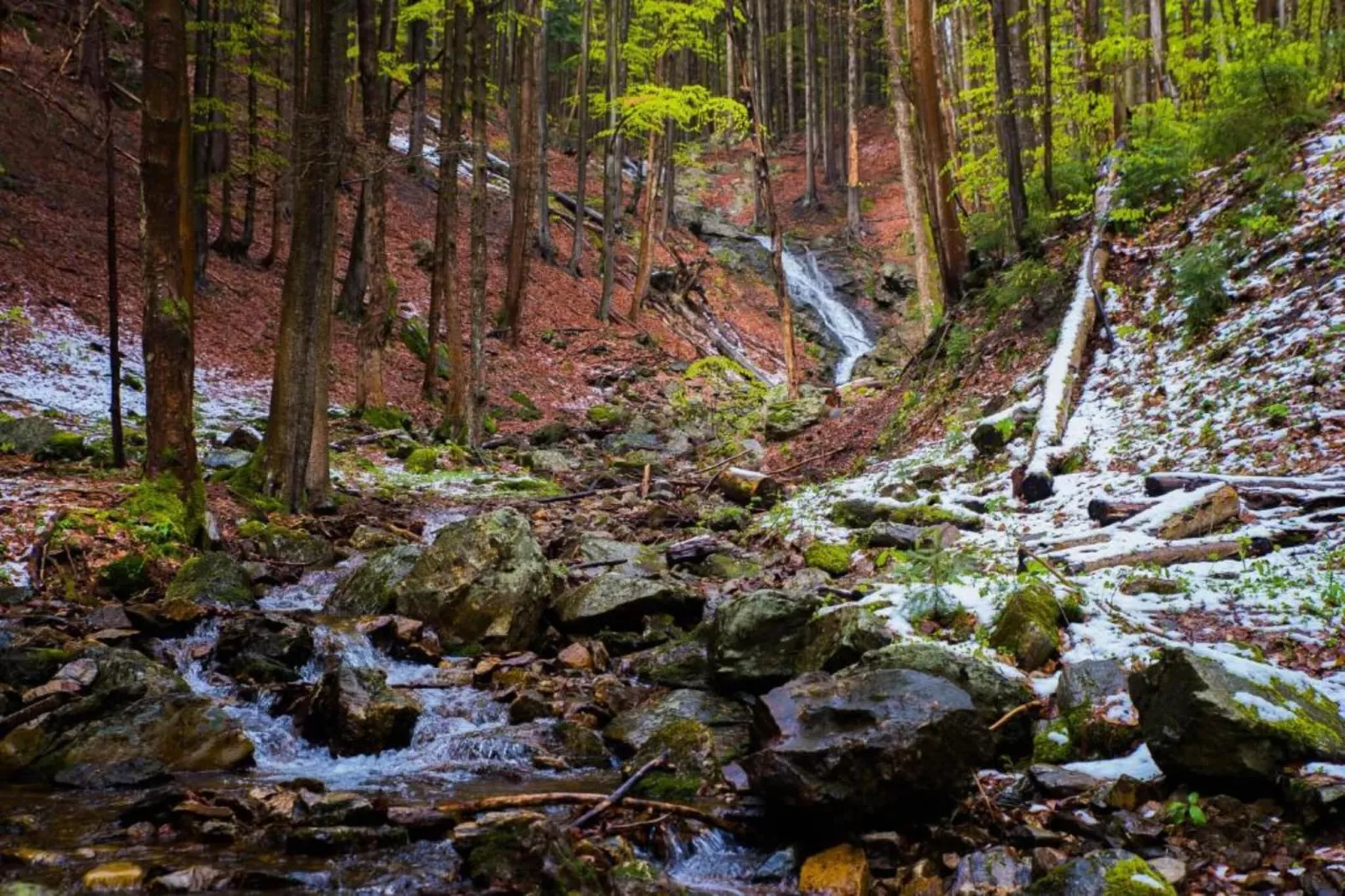 Rokytno-Areas within 20km in summer