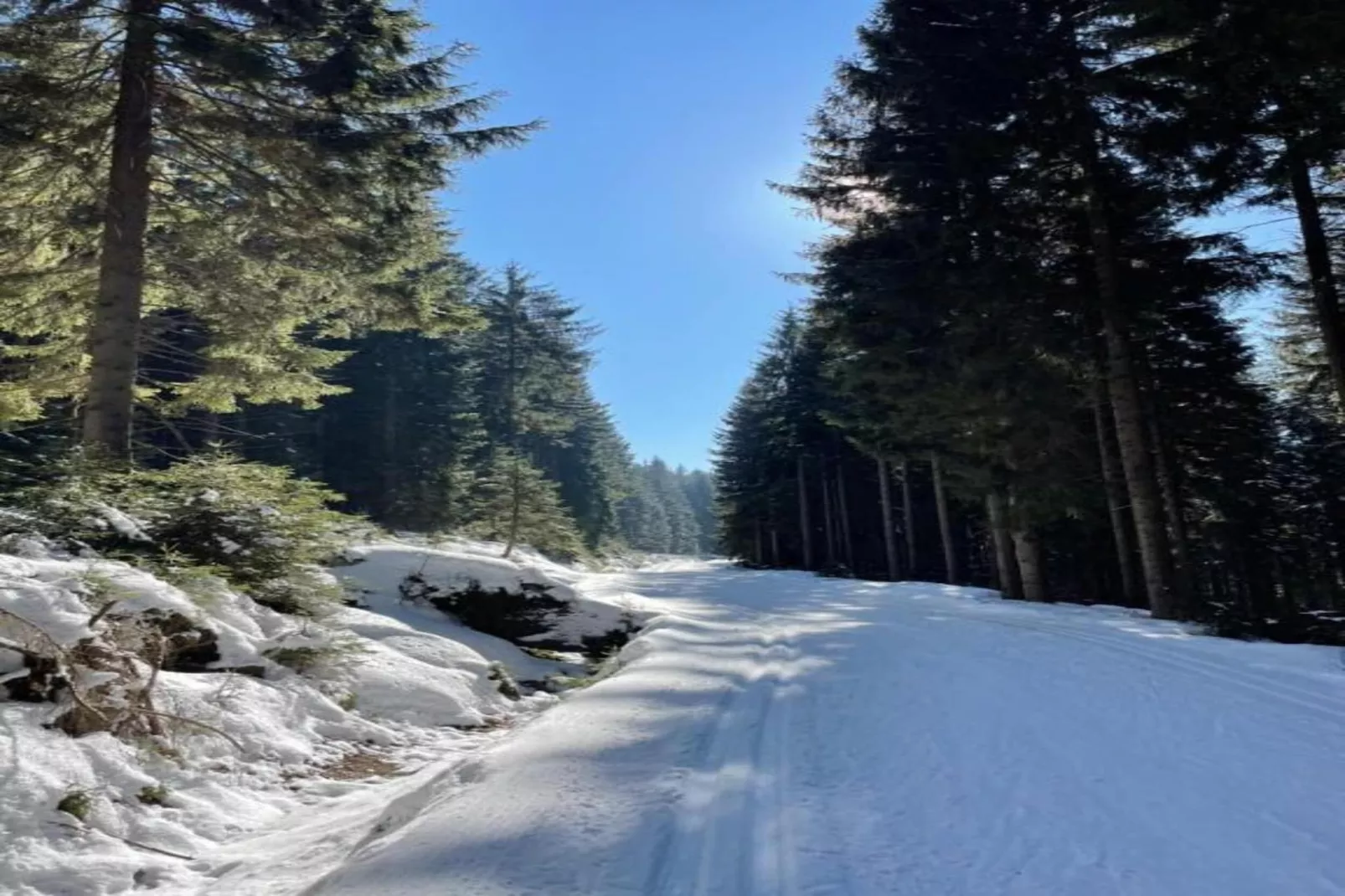 Rokytno-Gebiet Winter 20 km