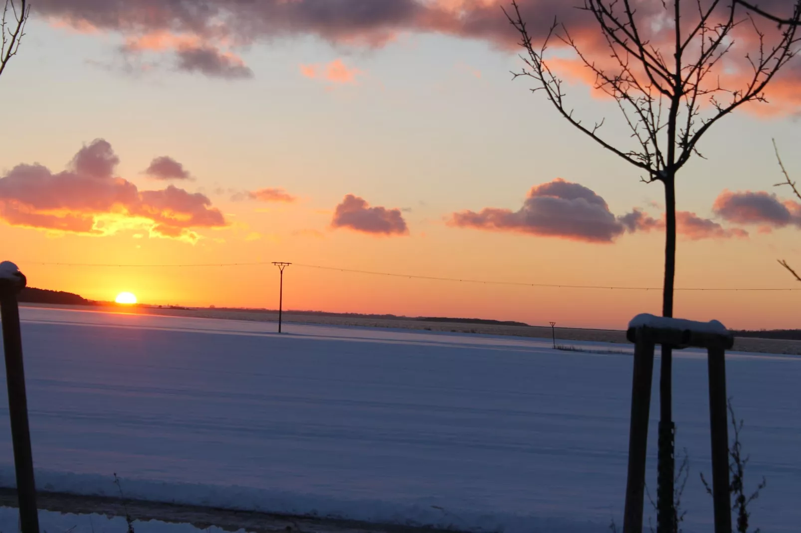 Windspiel-Area within 20km in winter