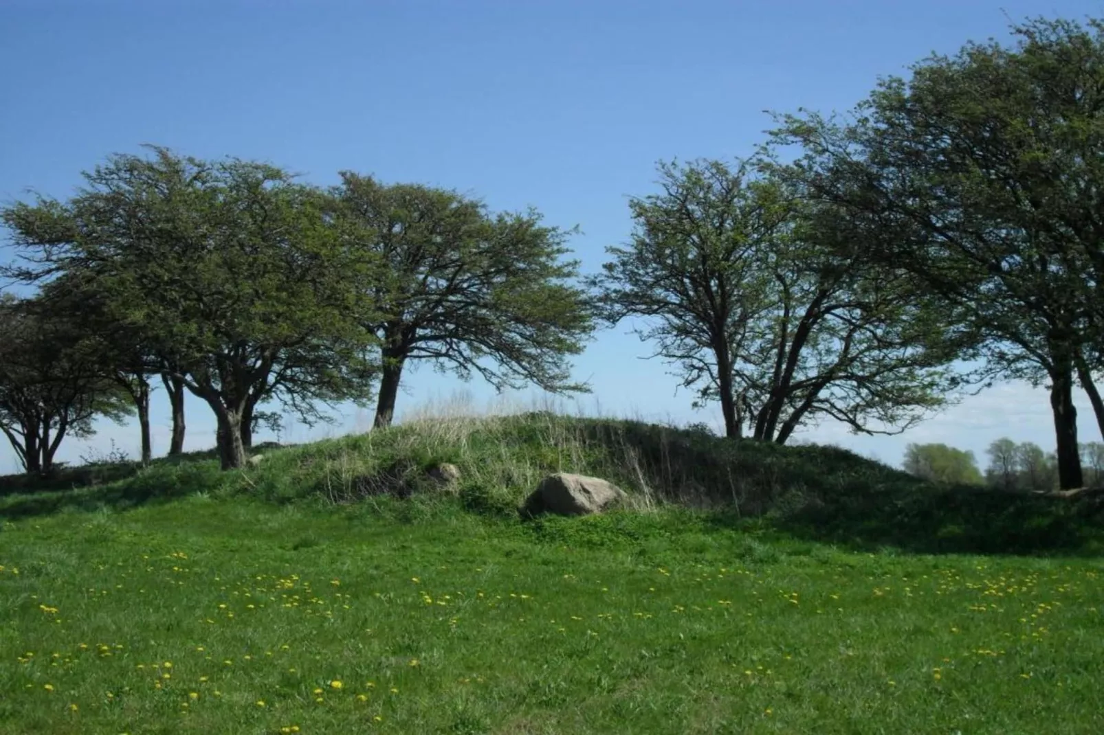 Lachmöwe 2-Areas within 20km in summer
