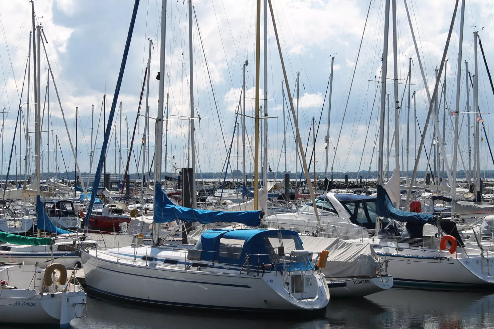 Andrea-Areas within 5km in summer