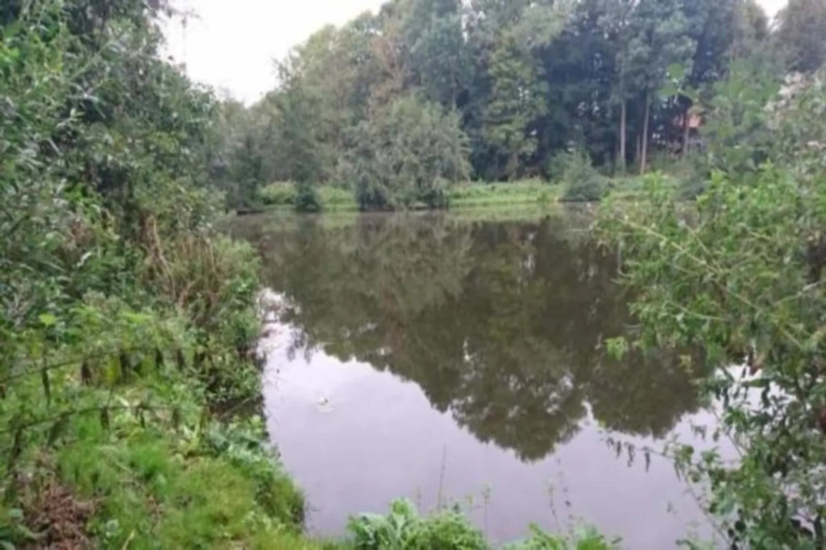 Harderhof 3-Areas within 20km in summer