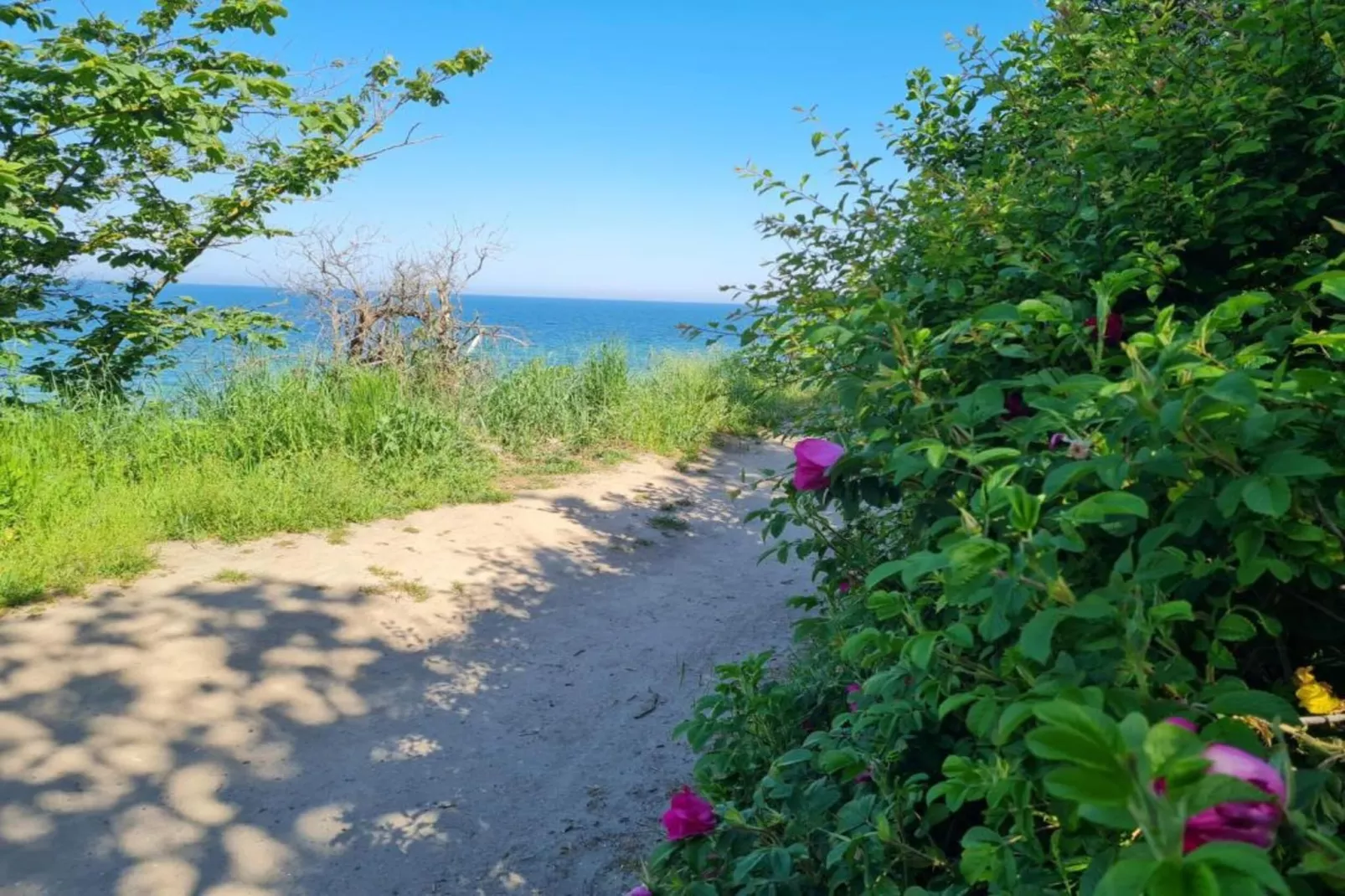 Das Haus Am Meer XXL-Areas within 1km in summer