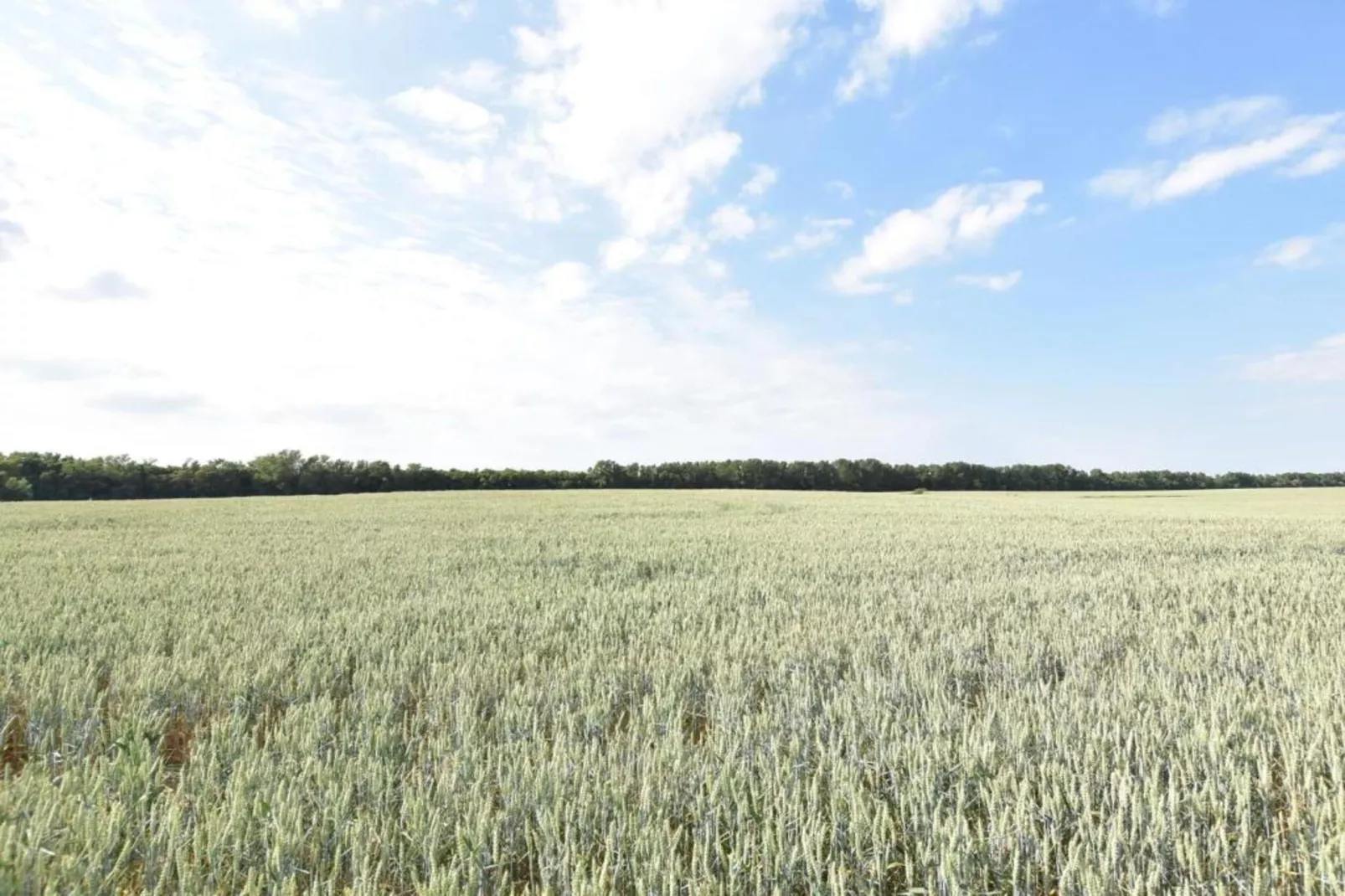 Dat Oole Huus 5-Gebiete Sommer 1 km