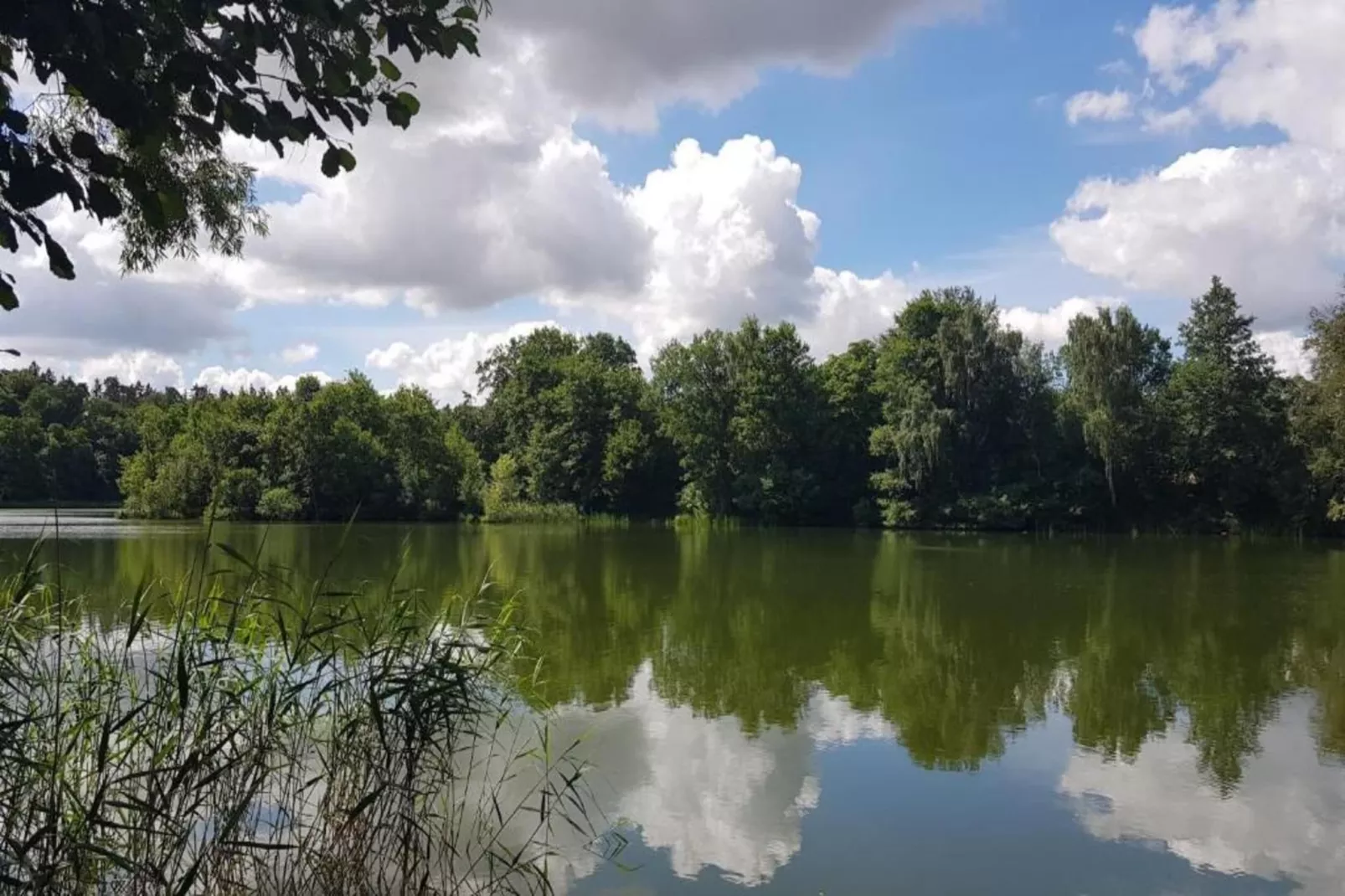 Familienurlaub im Grünen 4-Areas within 20km in summer