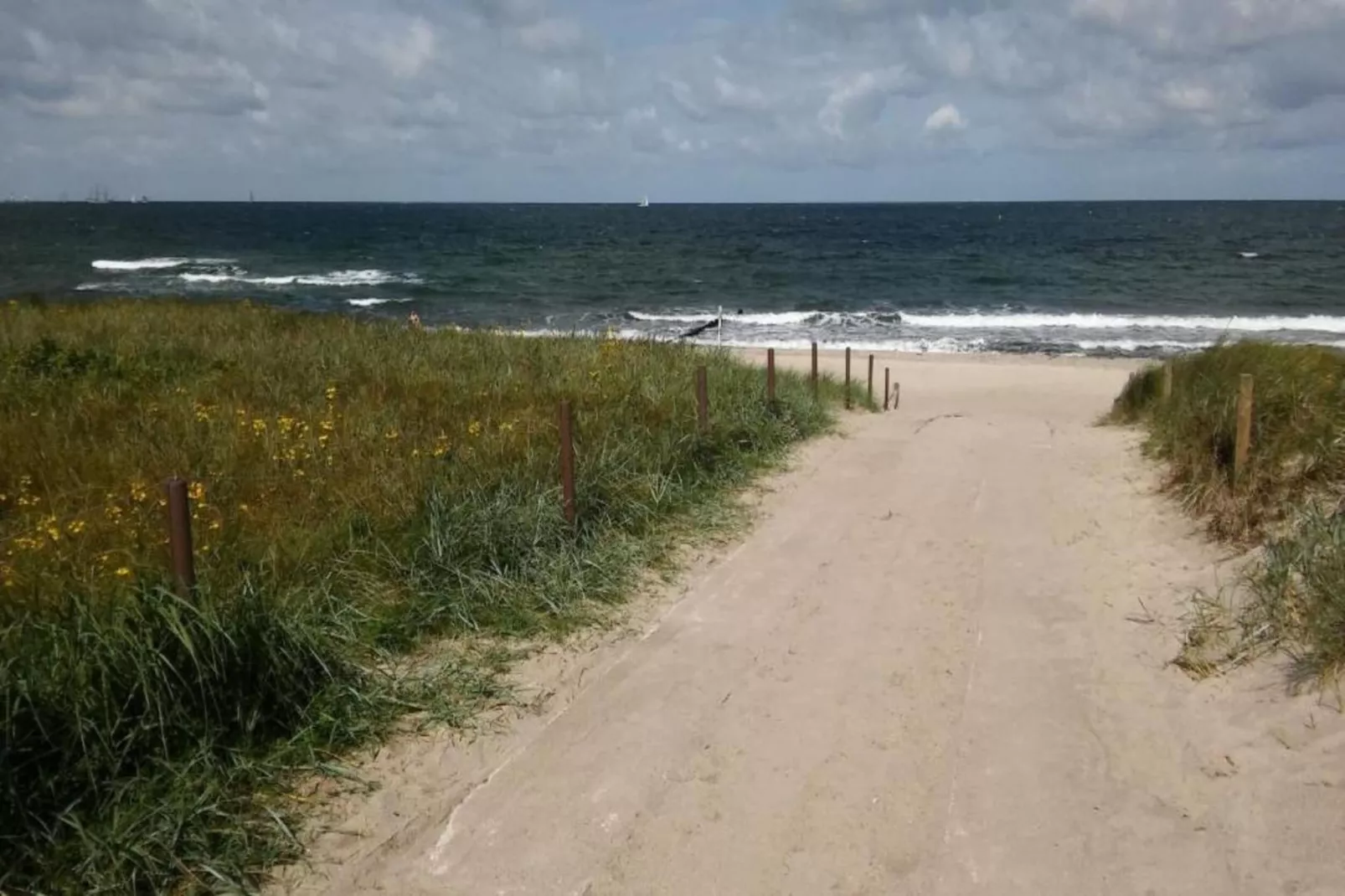Mohnblume-Areas within 20km in summer
