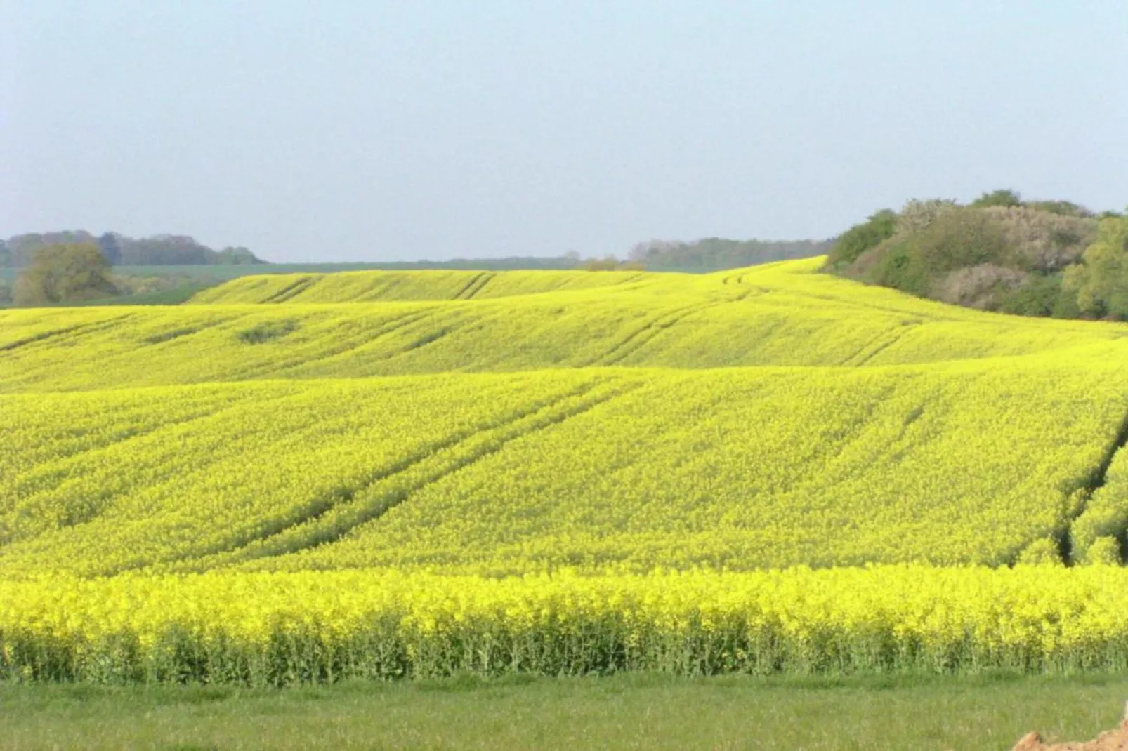 Beletage bei Gerdshagen-Areas within 20km in summer