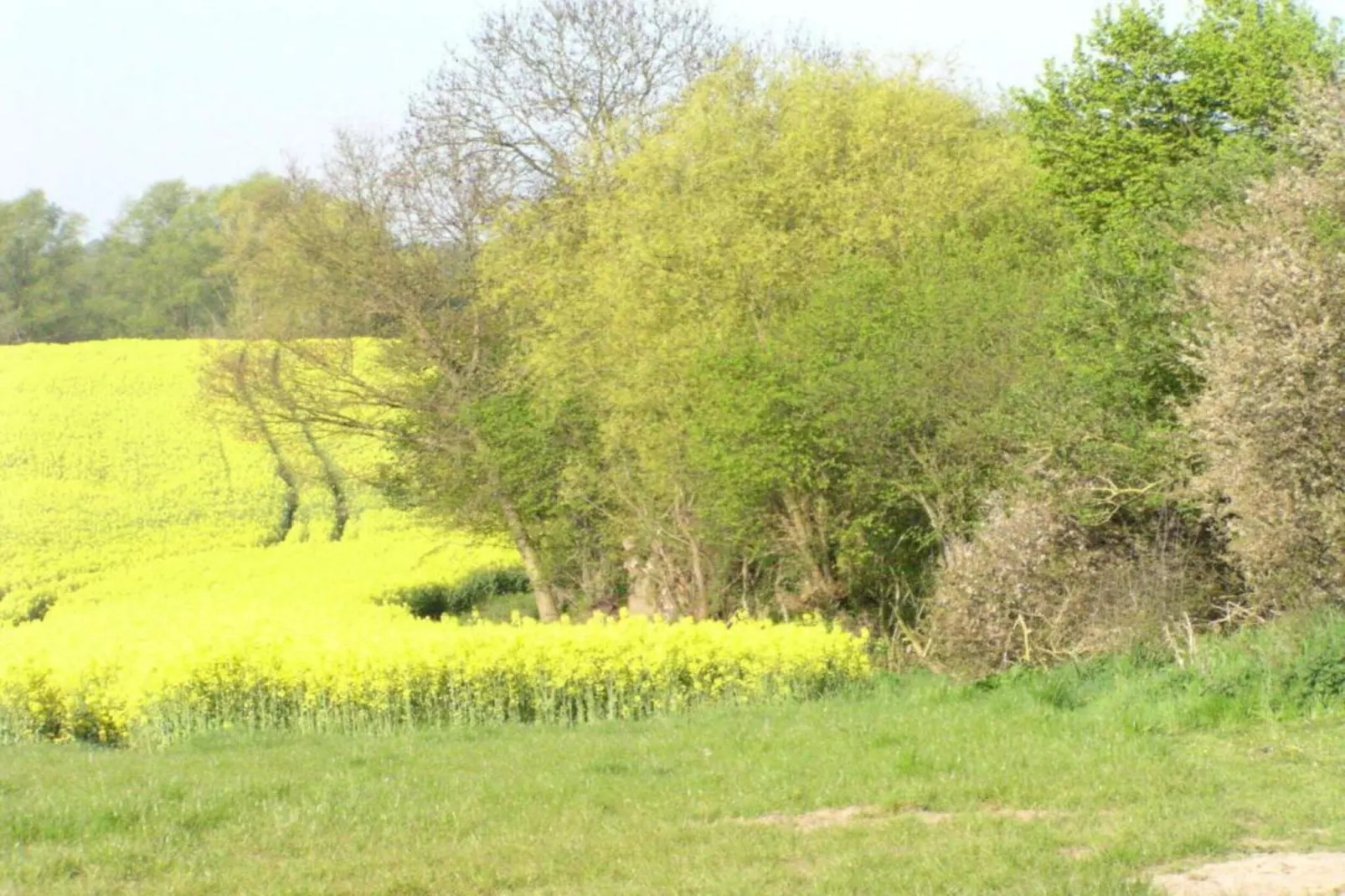 Gartenblick bei Gerdshagen-Areas within 20km in summer