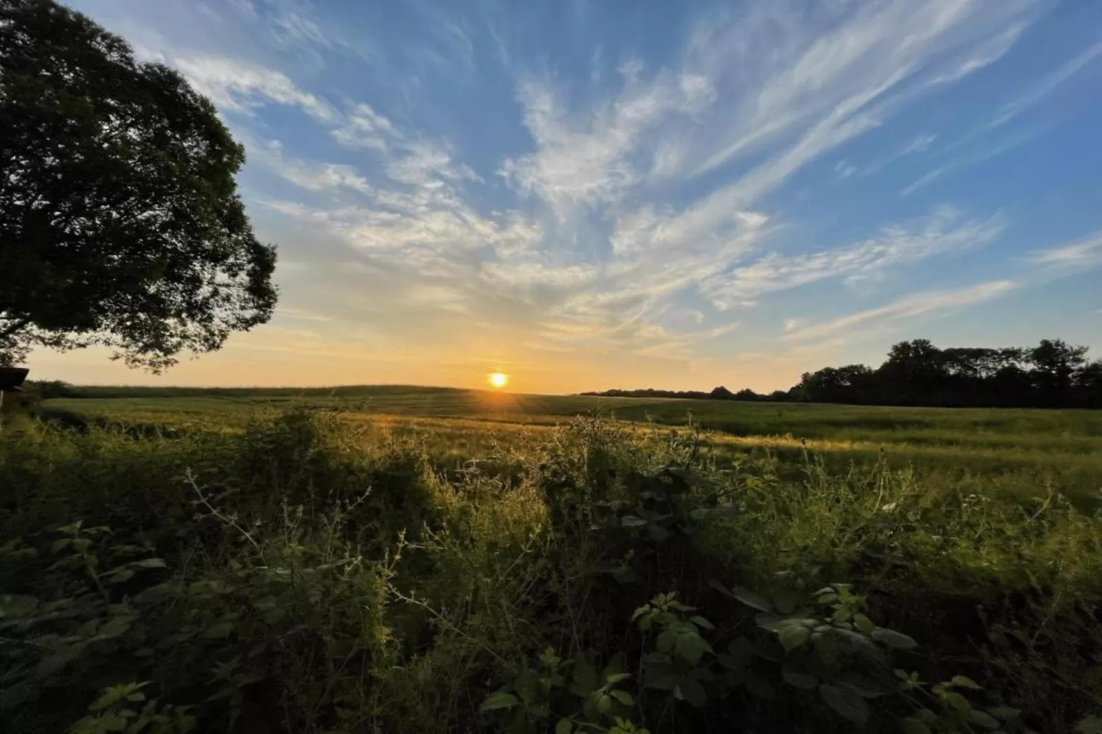Dat Brookhus-Gebiete Sommer 20 km