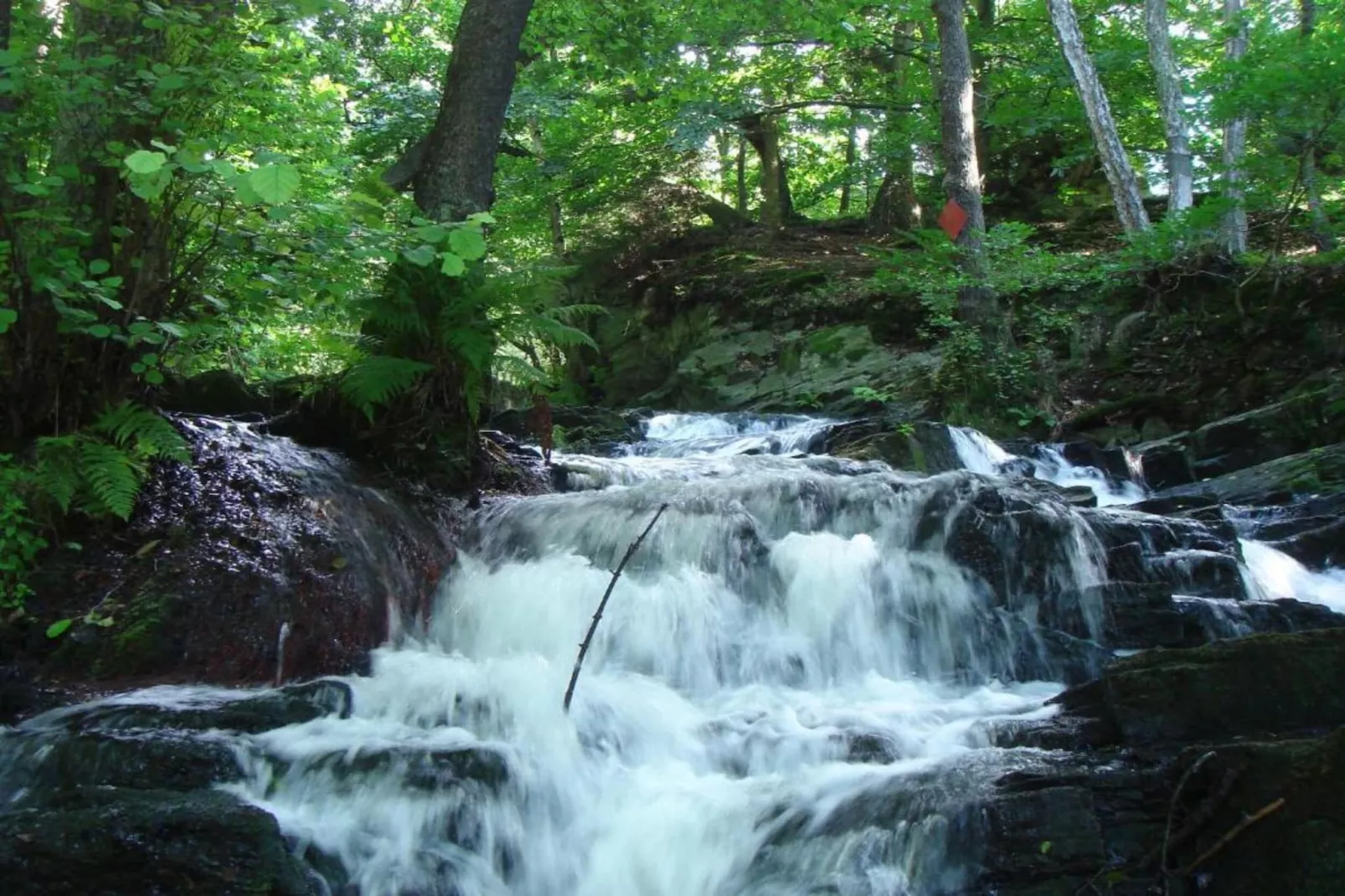 Holzhaus Ute-Areas within 20km in summer