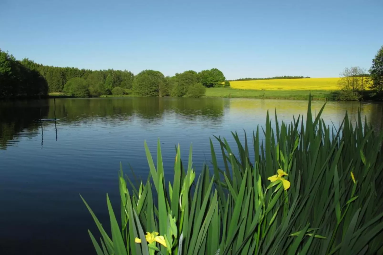 Vogtland-Areas within 20km in summer